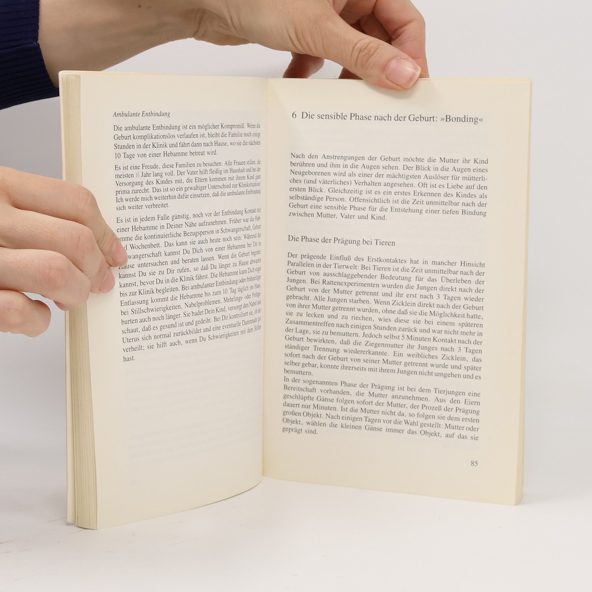 Hanny Lothrop Das Stillbuch