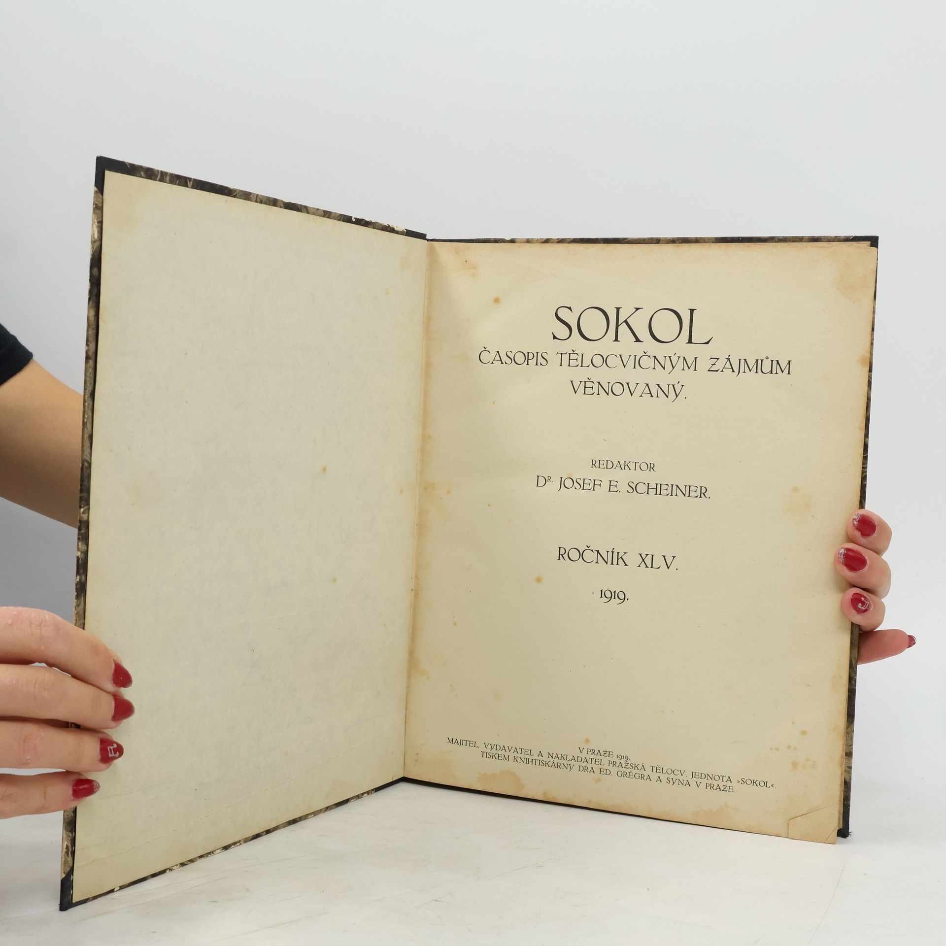 Kolektiv autorů Sokol XLV