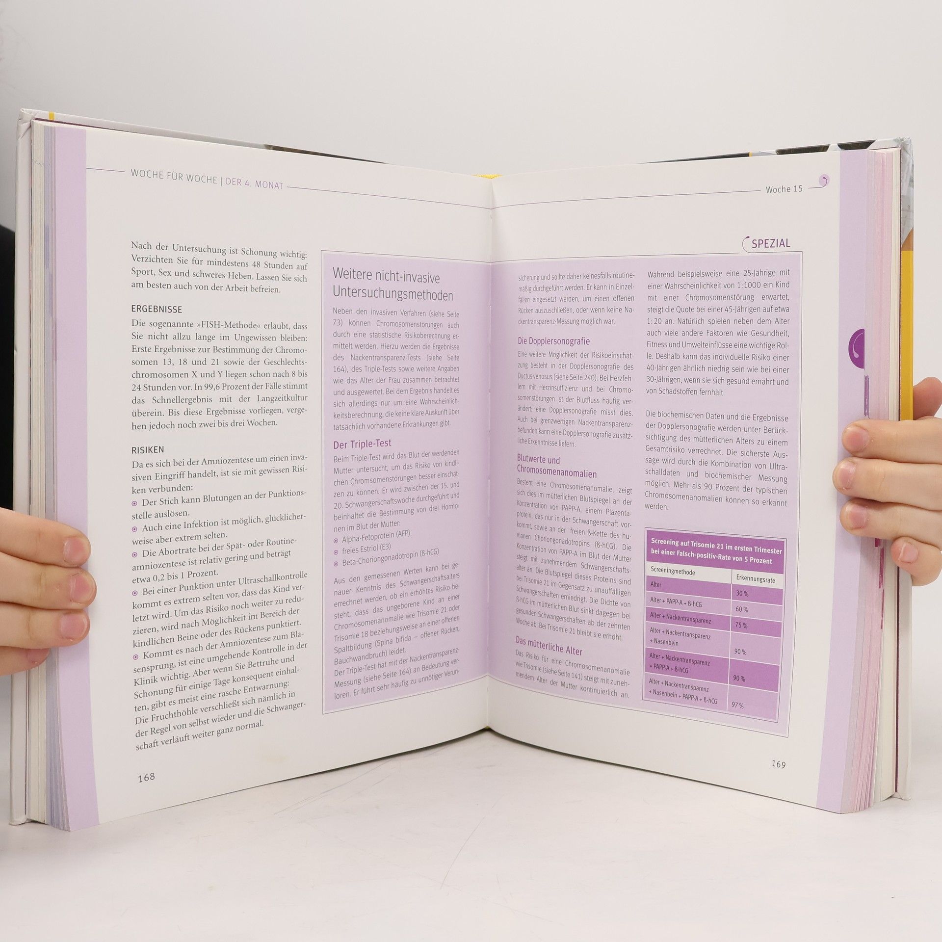 Annette Nolden-Thommen Das große Buch zur Schwangerschaft