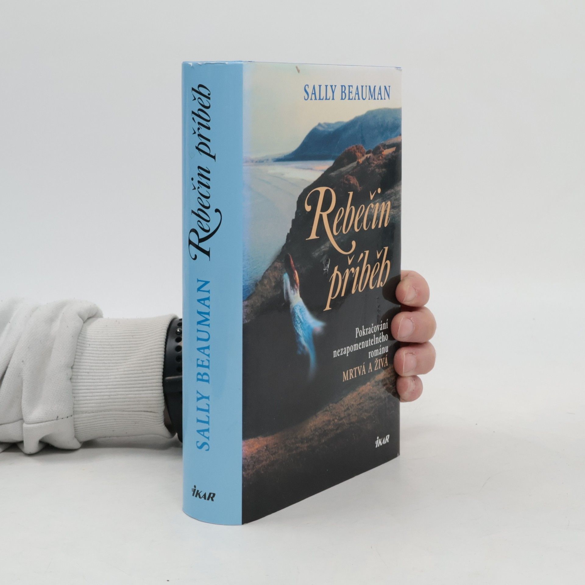 Sally Beauman Rebečin příběh