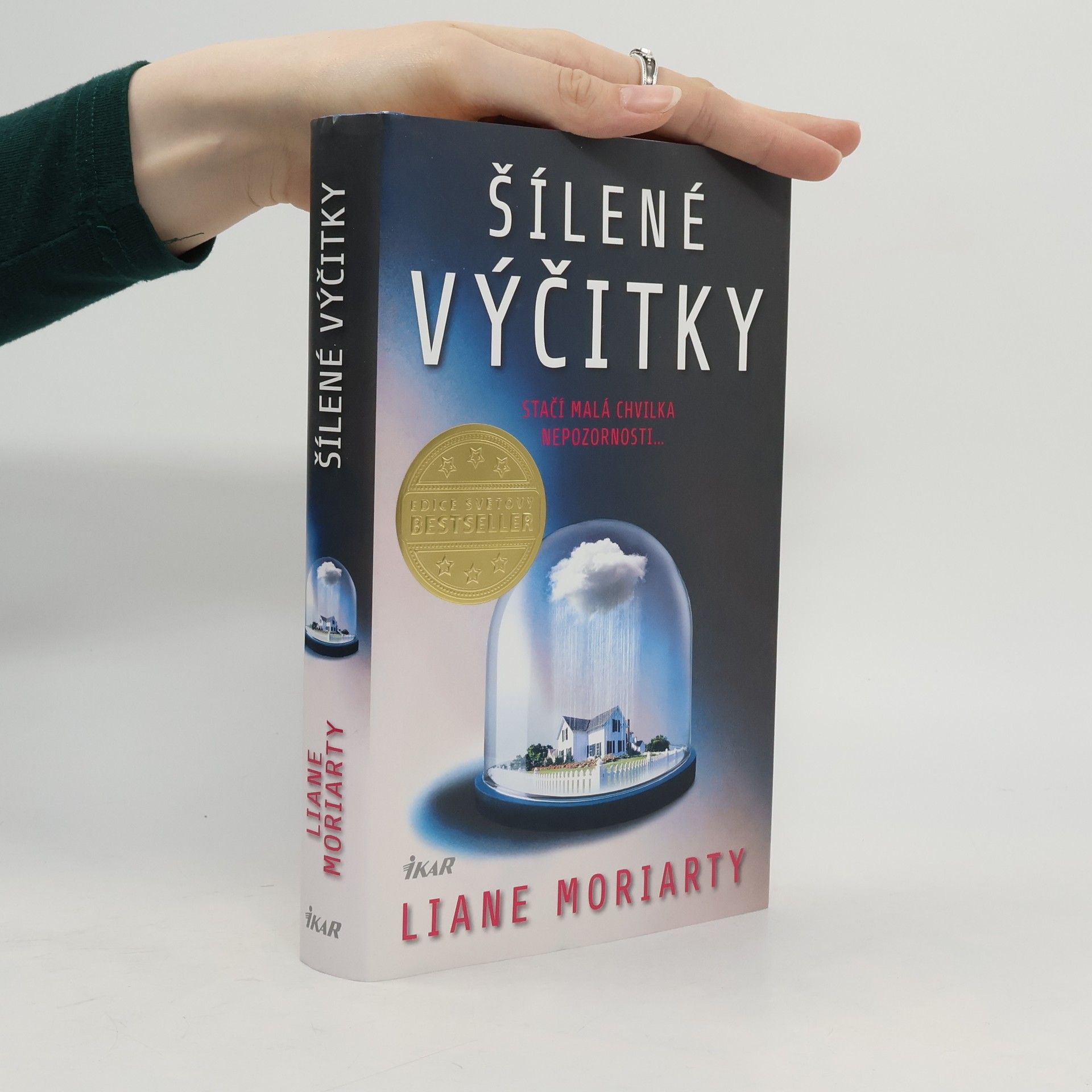 Liane Moriarty Šílené výčitky
