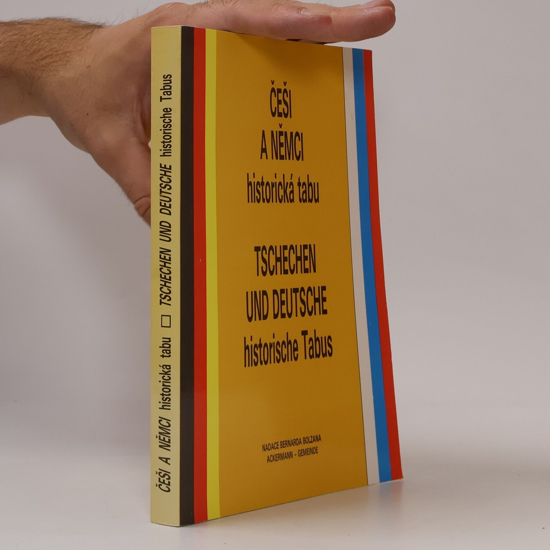 Autorenkollektiv Češi a Němci - historická tabu = Tschechen und Deutsche - historische Tabus