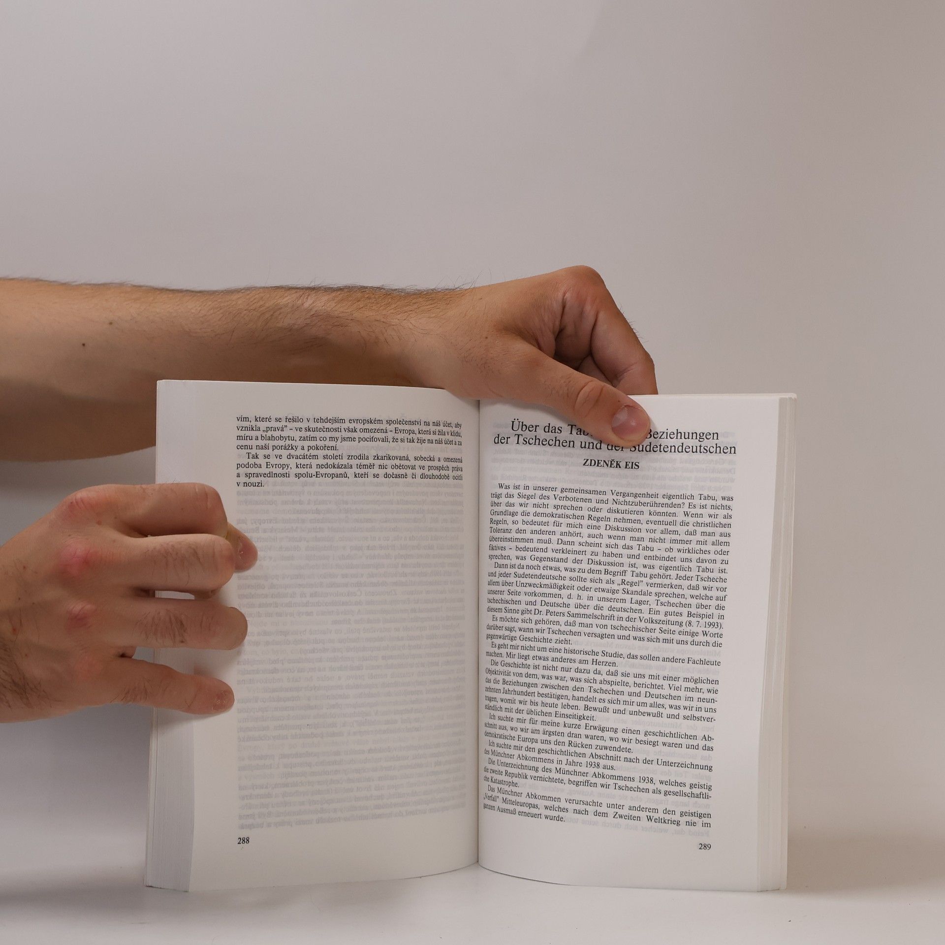 Autorenkollektiv Češi a Němci - historická tabu = Tschechen und Deutsche - historische Tabus