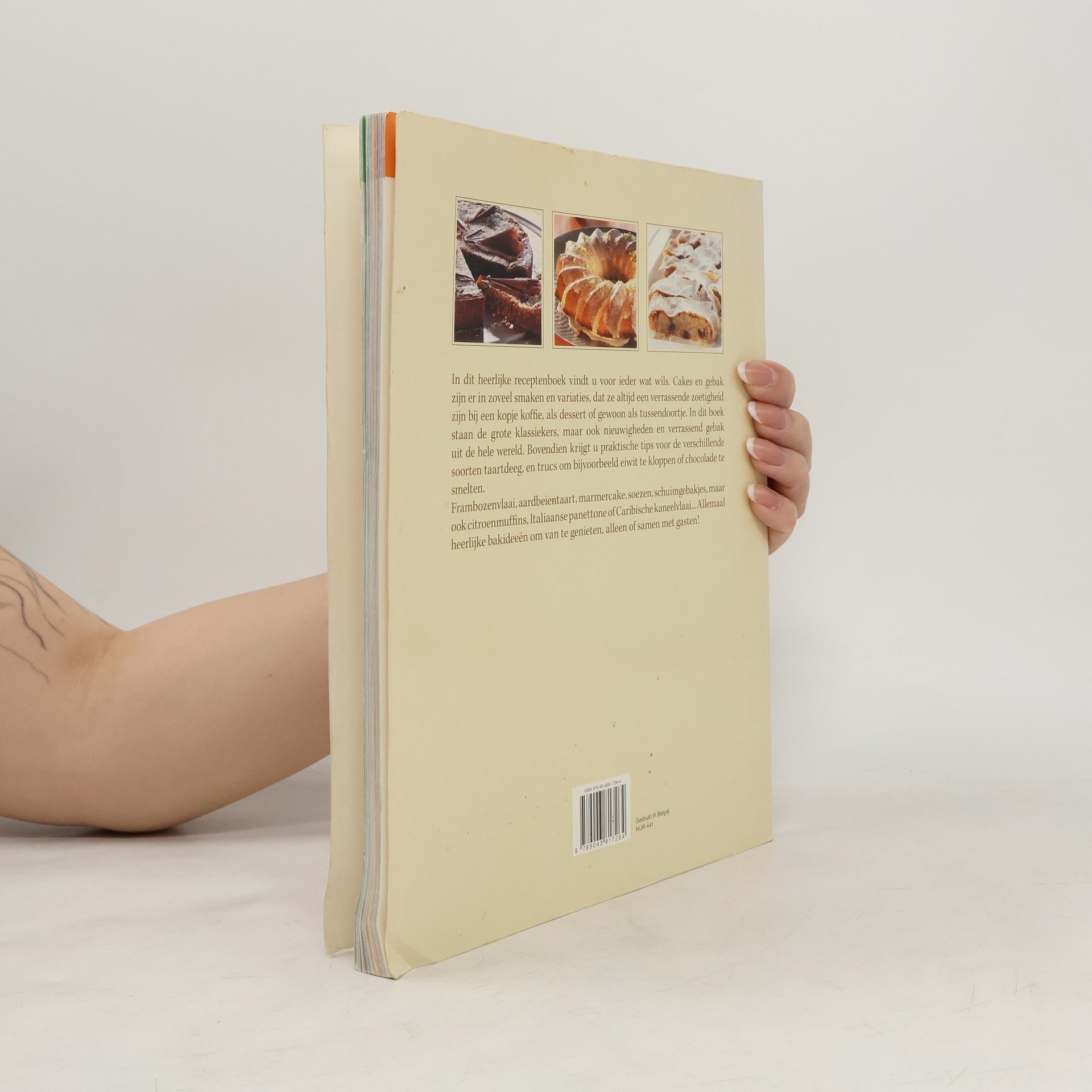 Christa Schmedes 101 heerlijke recepten voor cakes & gebak