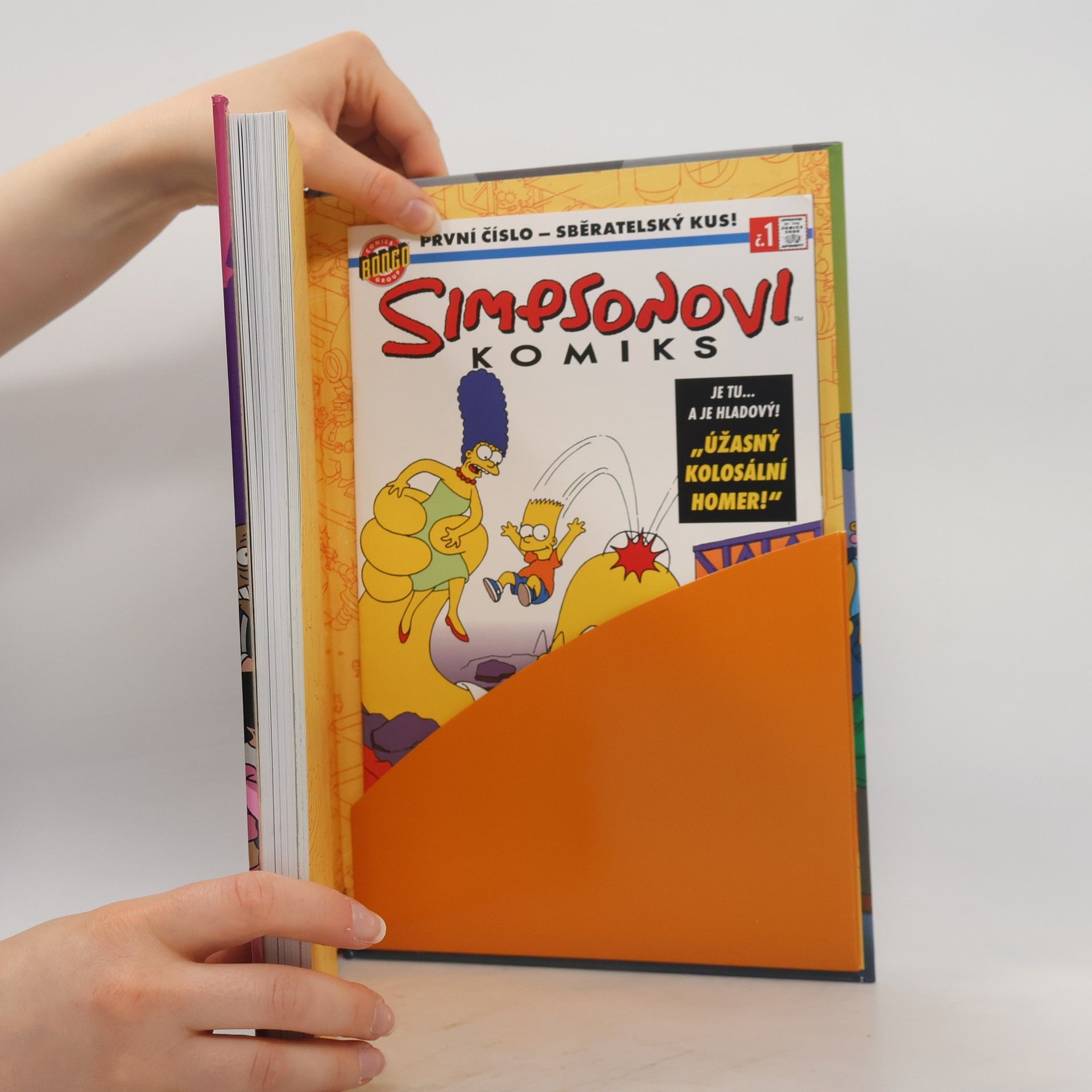 Matt Groening Simpsonovi - Futurama. Propletená lapálie: Crossover (s přílohou)
