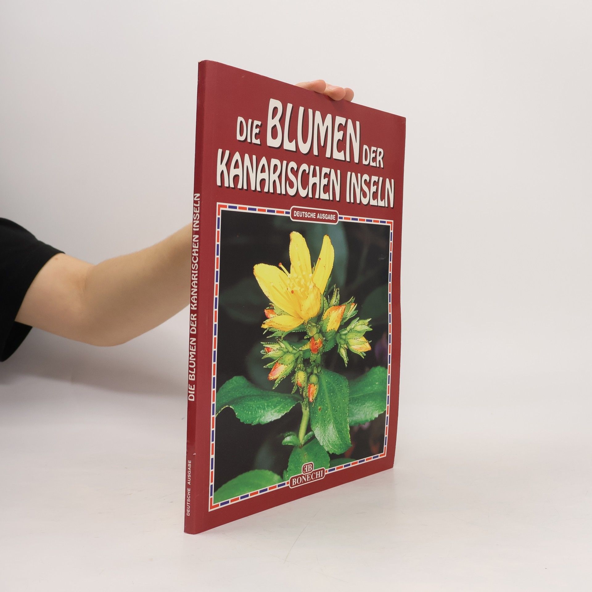 Bruno Foggi Die Blumen der Kanarischen Inseln