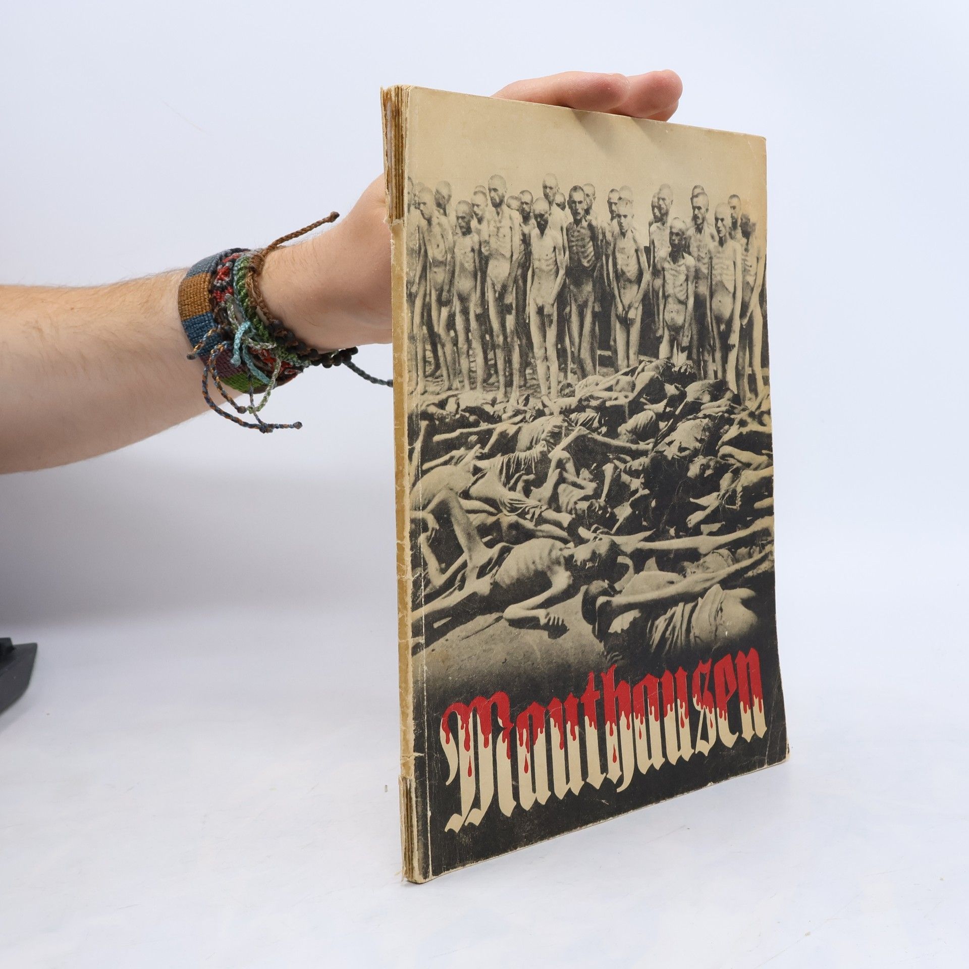 Kolektiv autorů Mauthausen