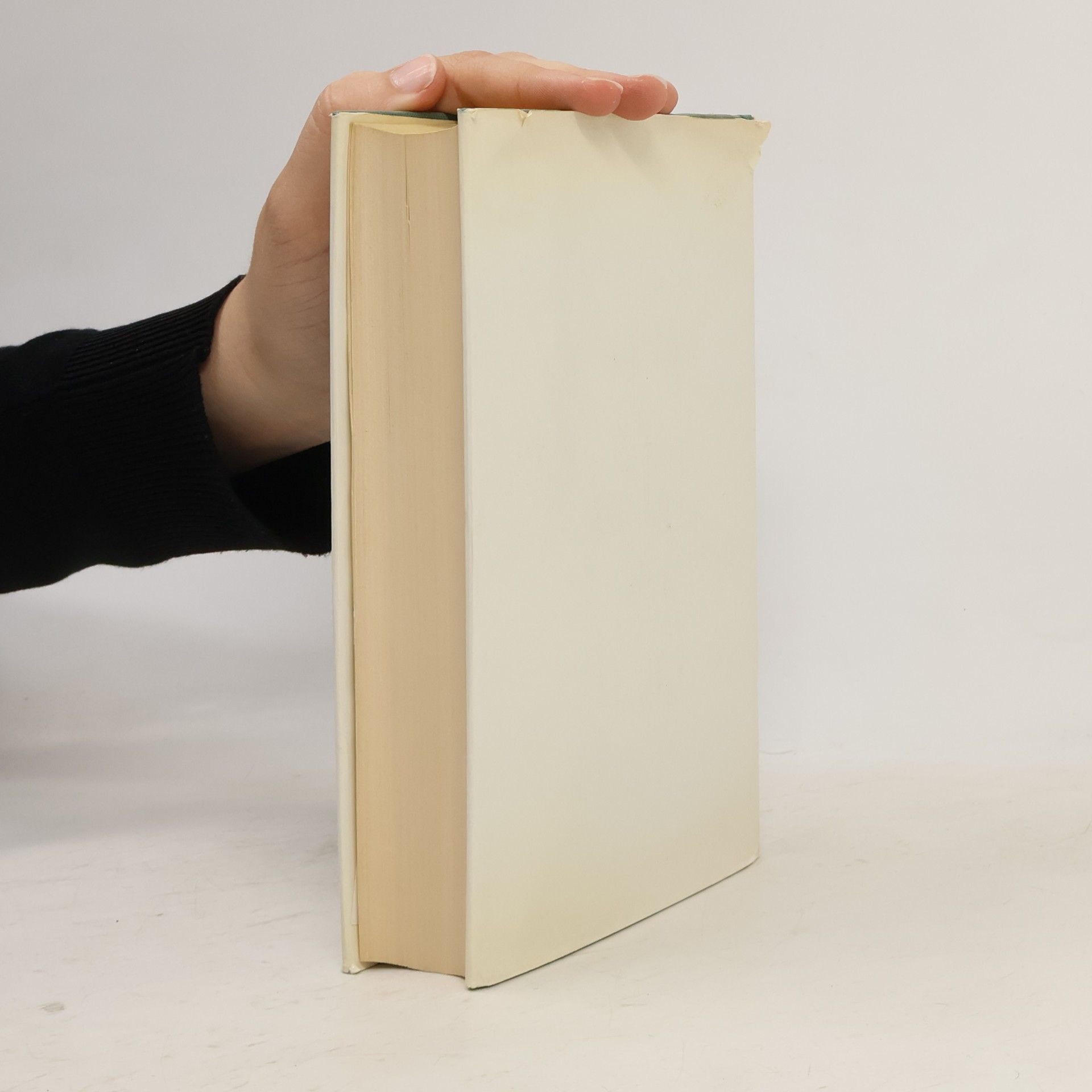 Autorenkollektiv Das Mark-Twain-Buch