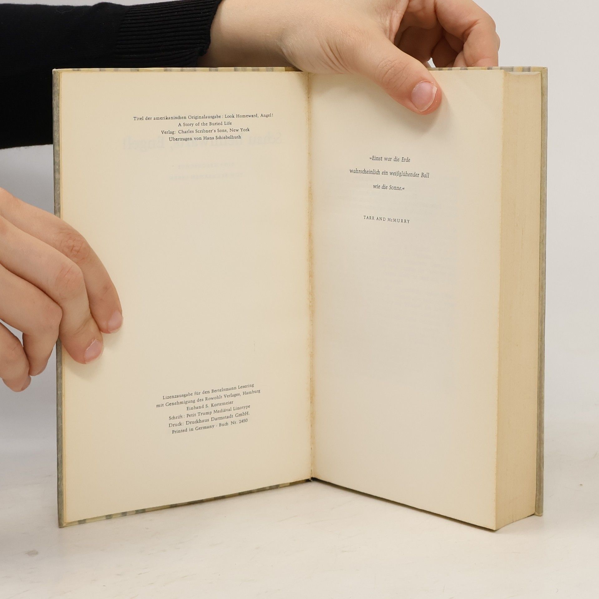 Thomas Wolfe Schau heimwärts, Engel!