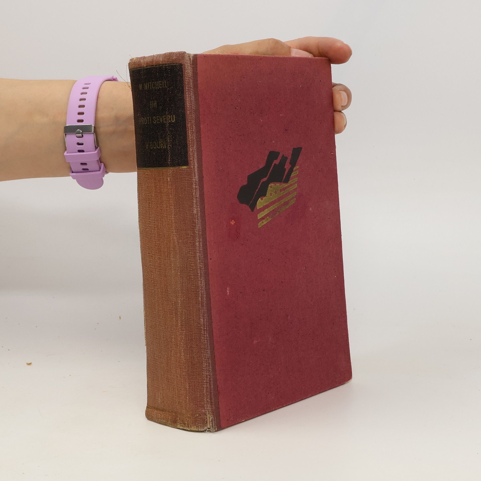 Margaret Mitchell Jih proti Severu. I. díl - V bouři