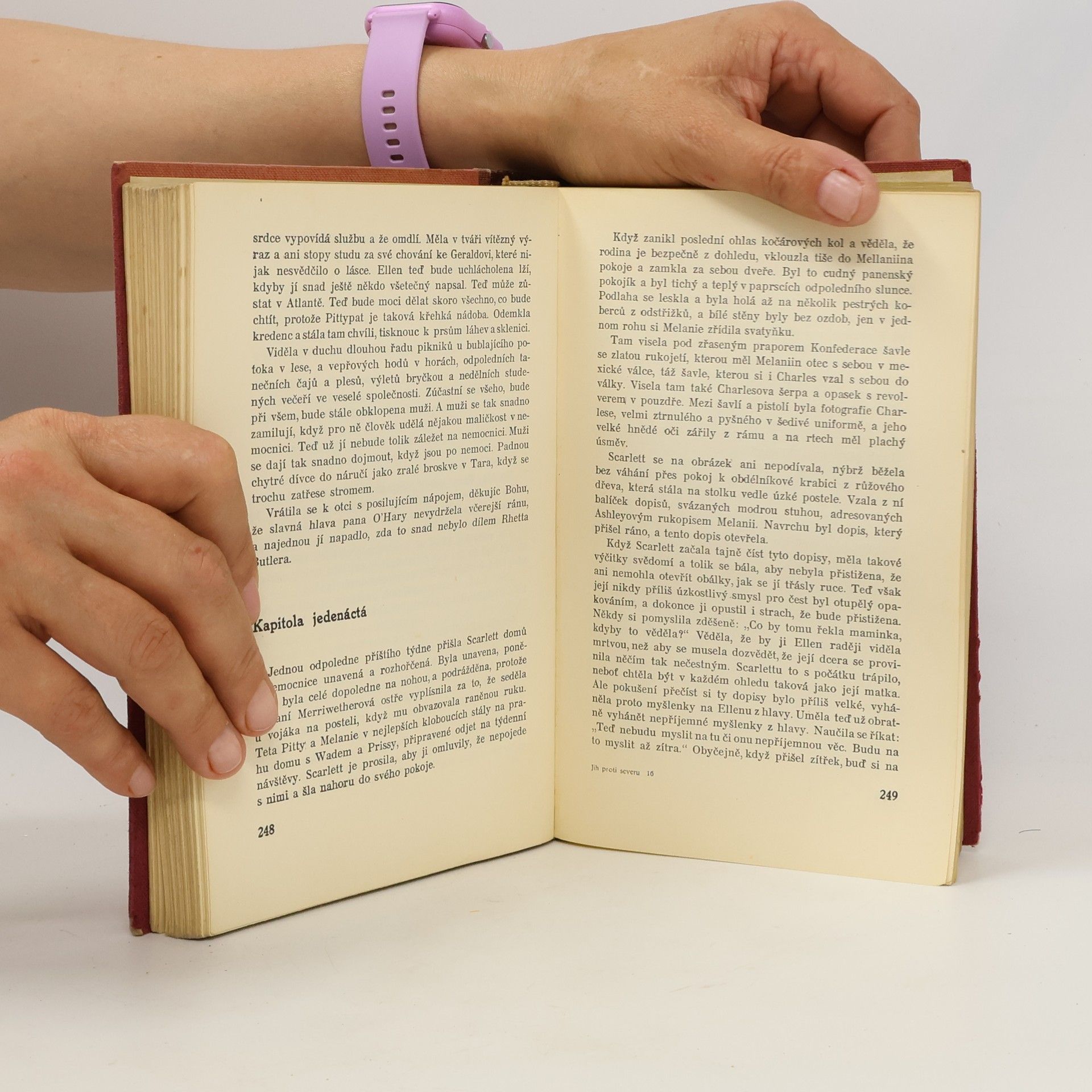 Margaret Mitchell Jih proti Severu. I. díl - V bouři