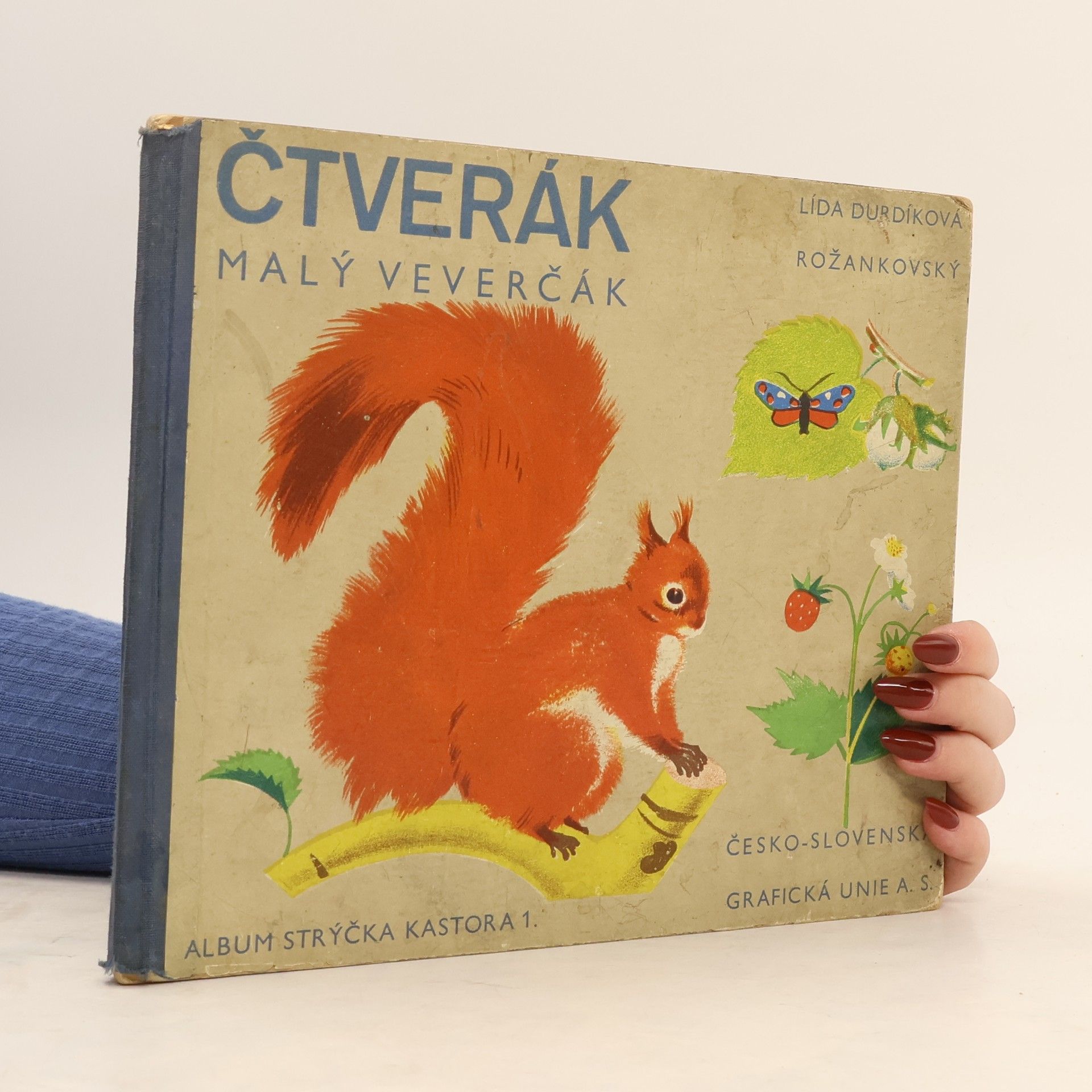 Lída Durdíková Čtverák, malý veverčák