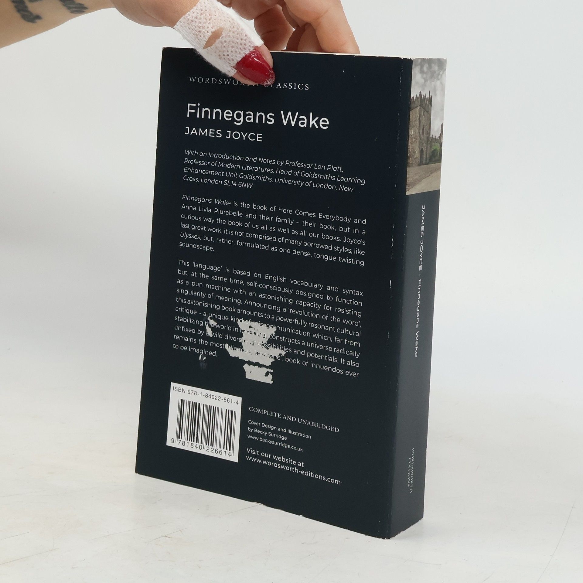 James Joyce Finnegans wake