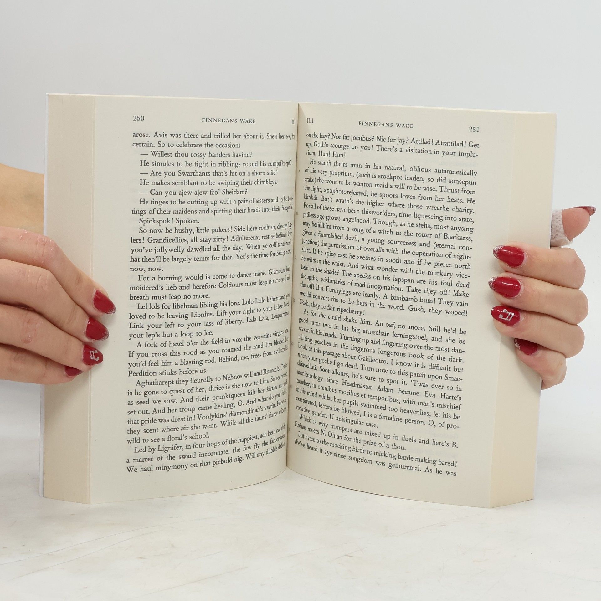 James Joyce Finnegans wake