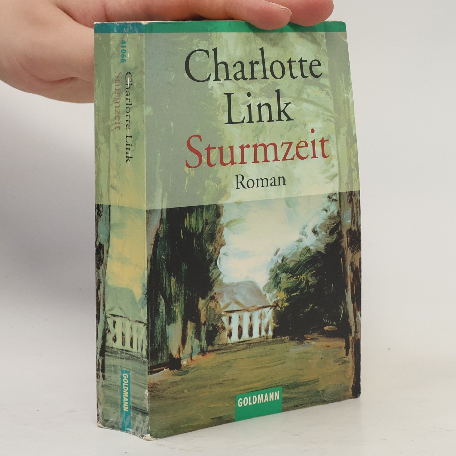 Charlotte Link Sturmzeit