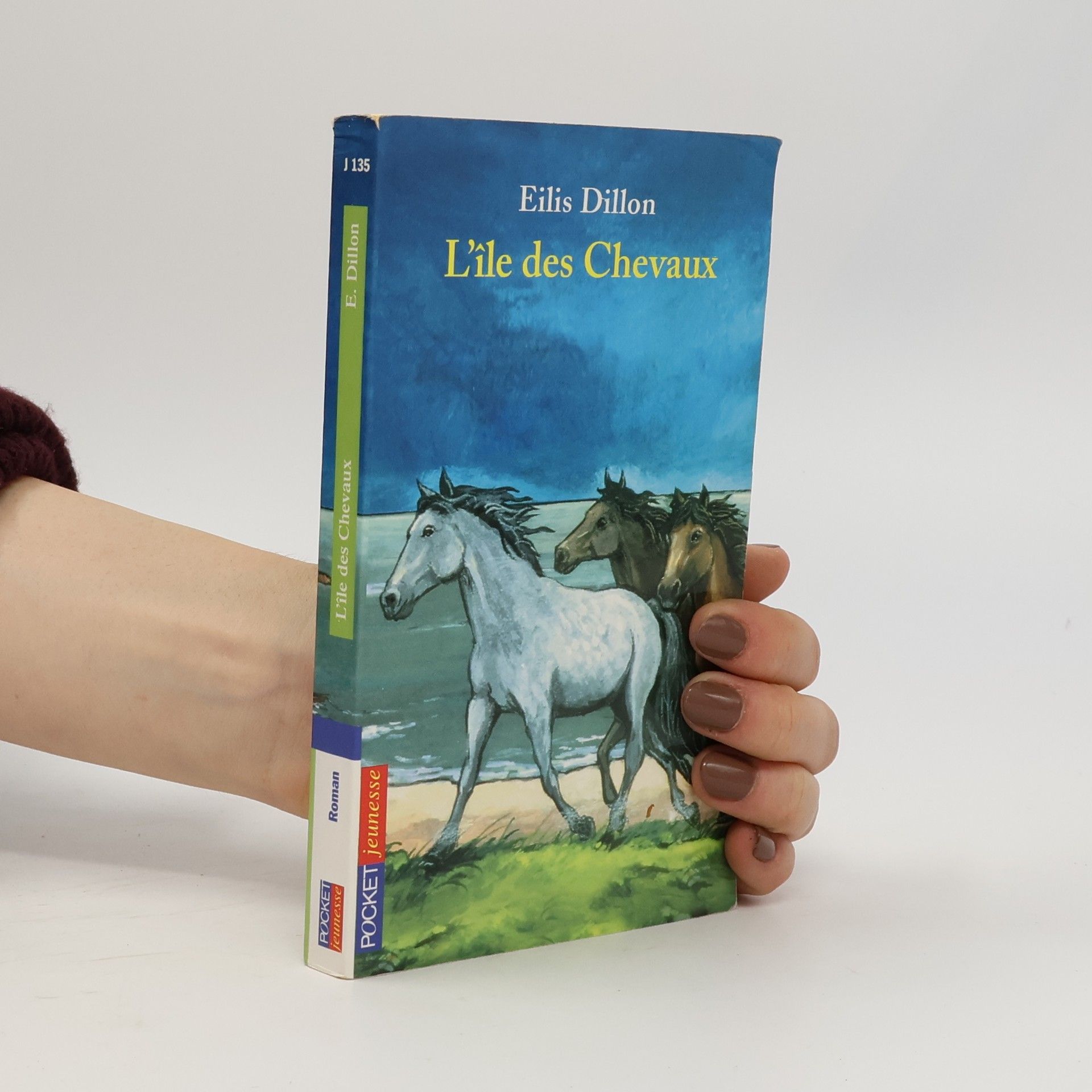 Eilís Dillon L'île des chevaux