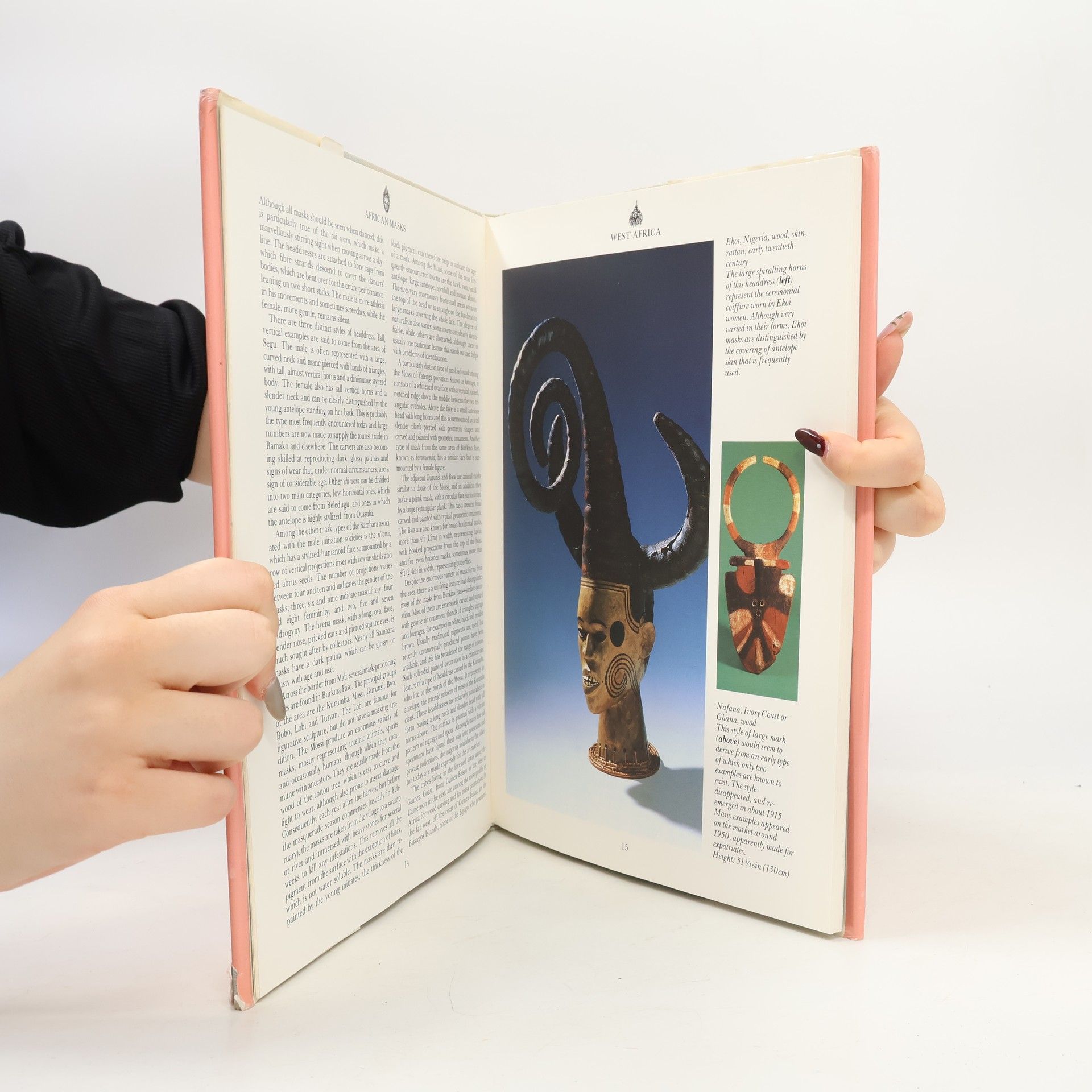 Timothy Teuten The Letts guide to collecting masks