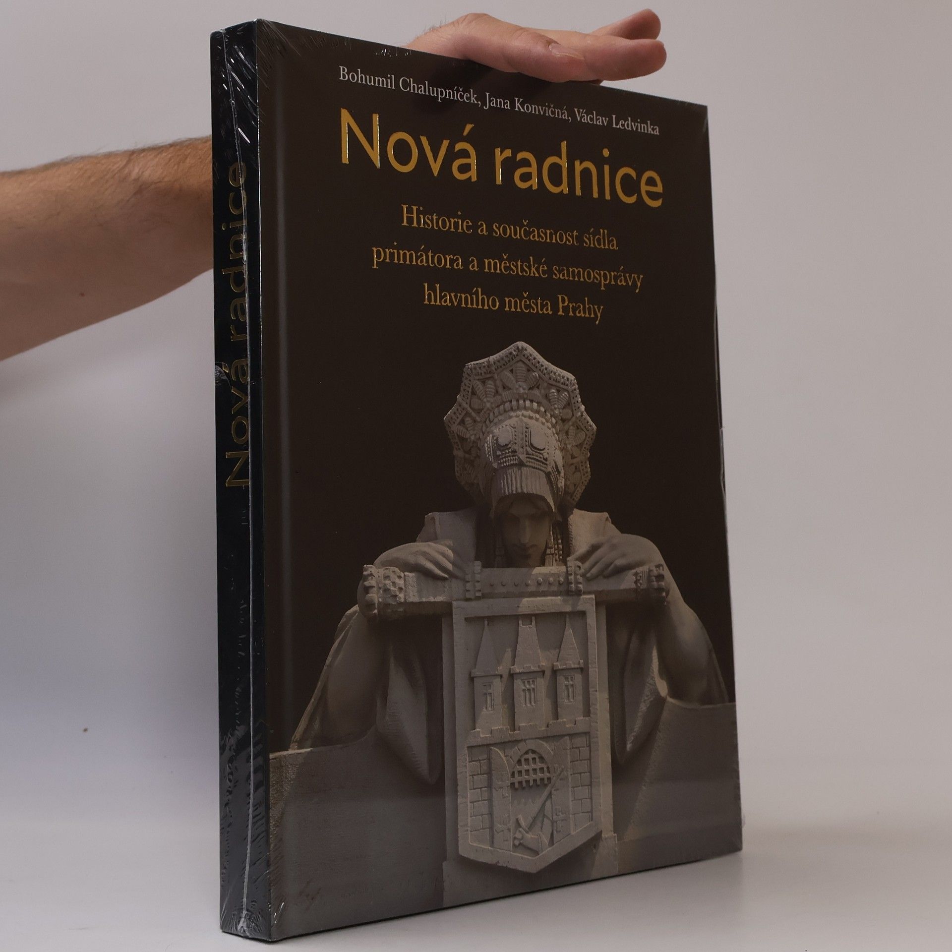 Kolektiv autorů Nová radnice : historie a současnost sídla primátora a městské samosprávy hlavního města Prahy