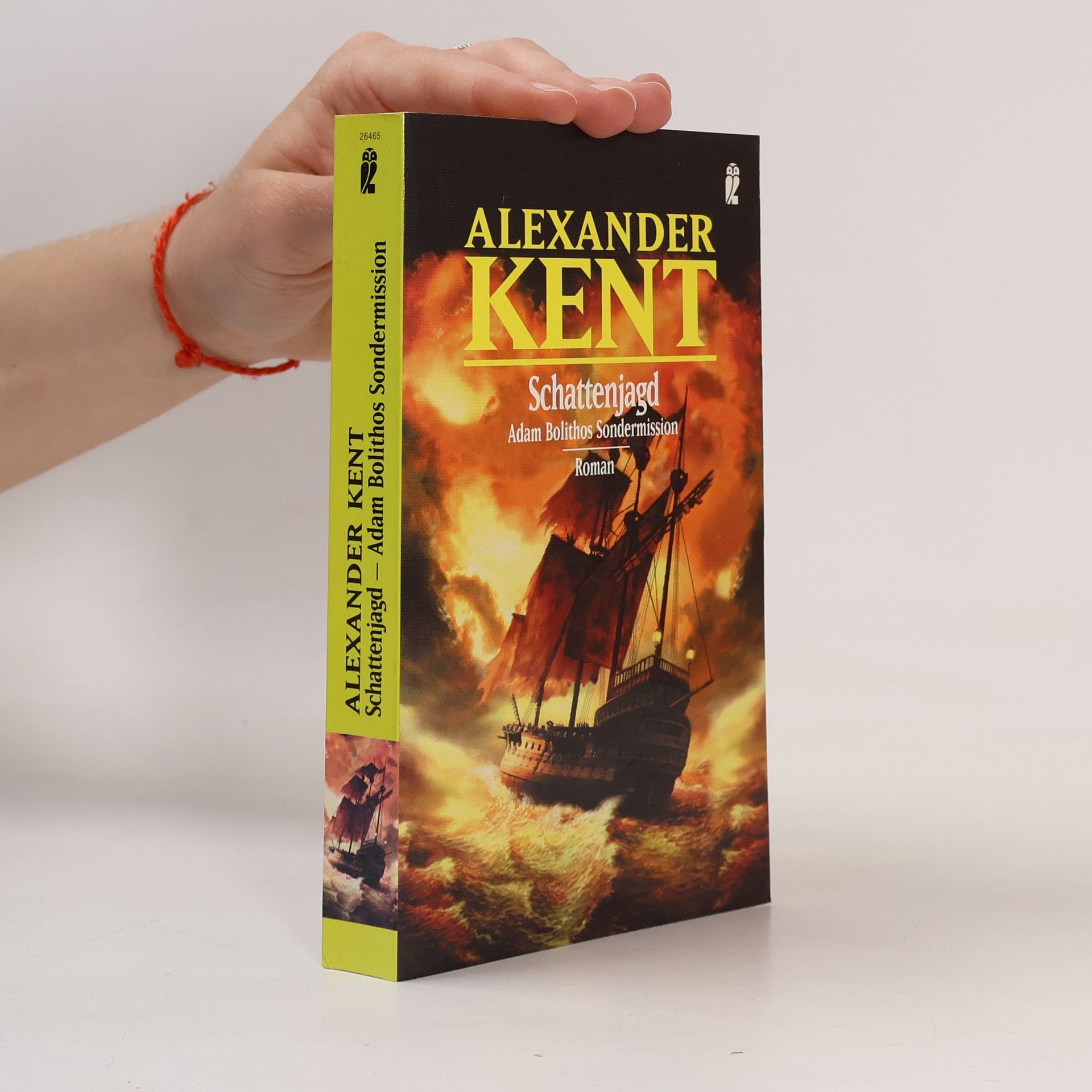 Alexander Kent Schattenjagd