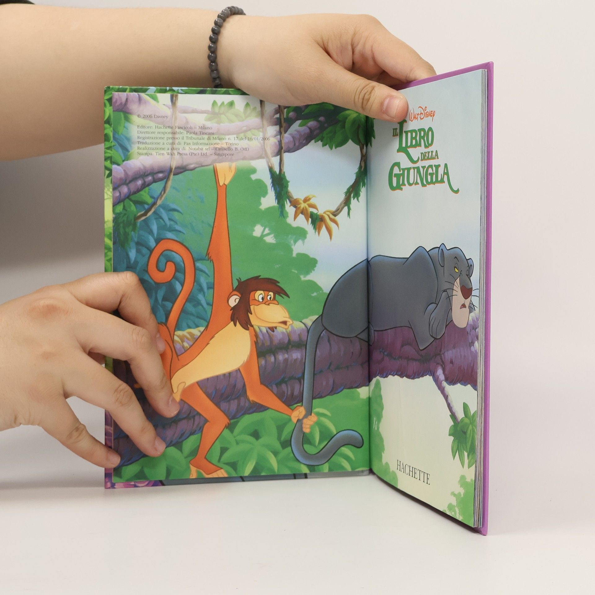 Autorenkollektiv Il libro della giungla