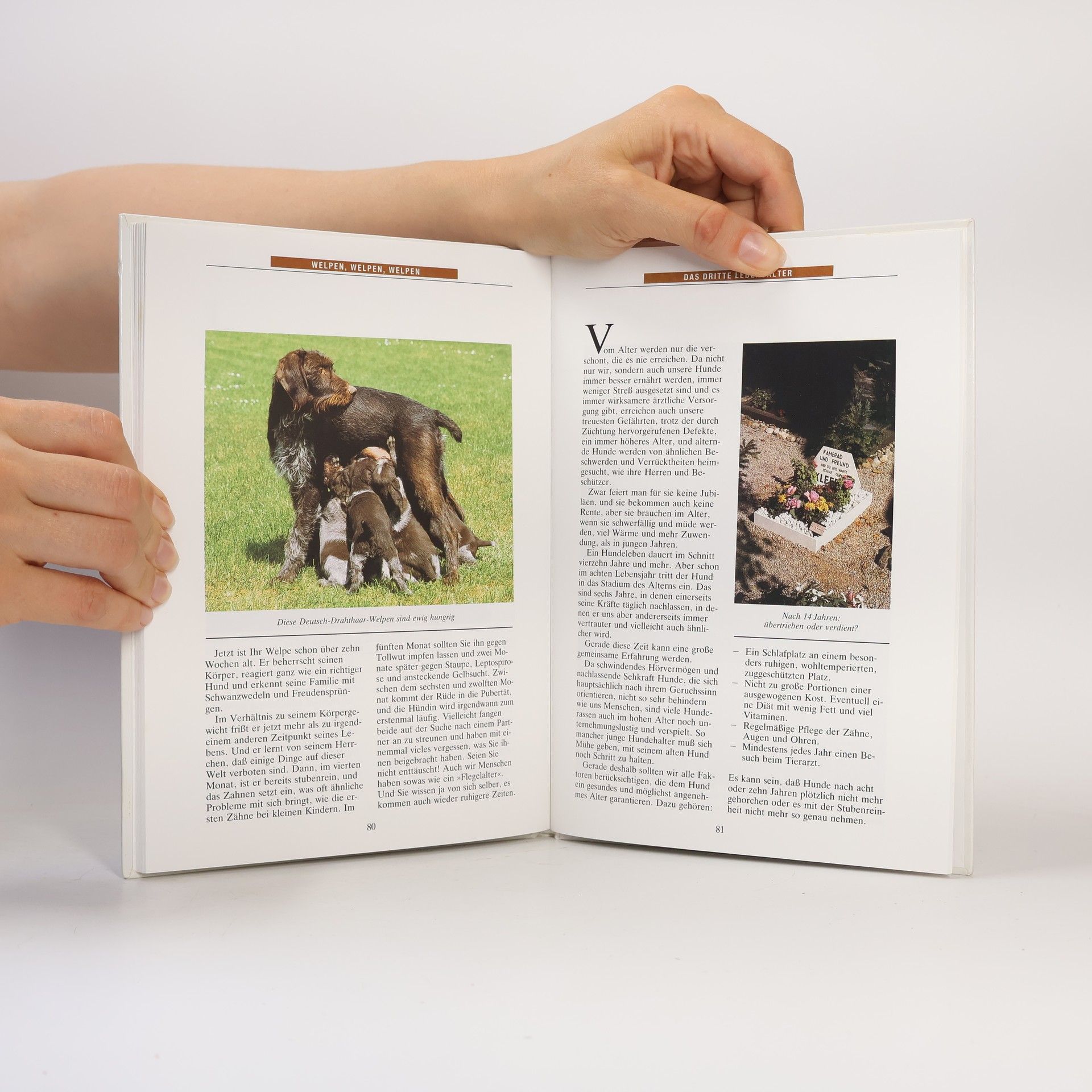 Caspar von Poser Freude an Hunden