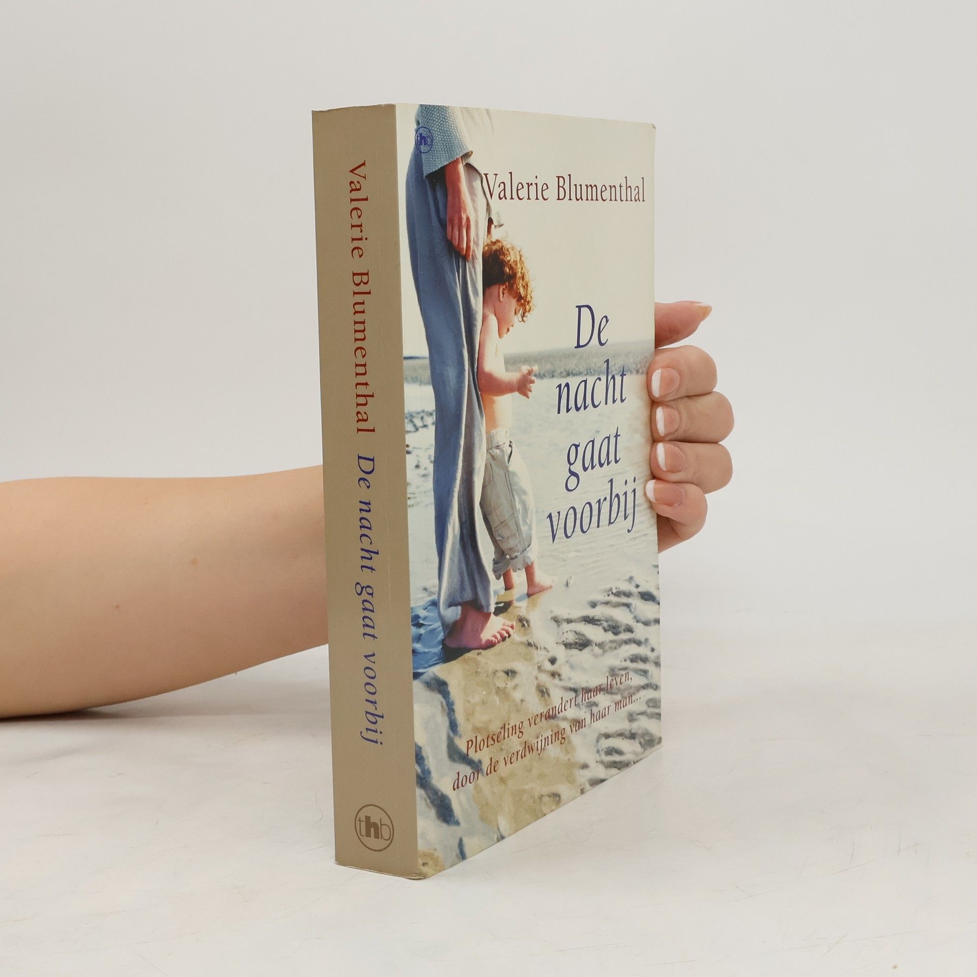 Valerie Blumenthal De nacht gaat voorbij