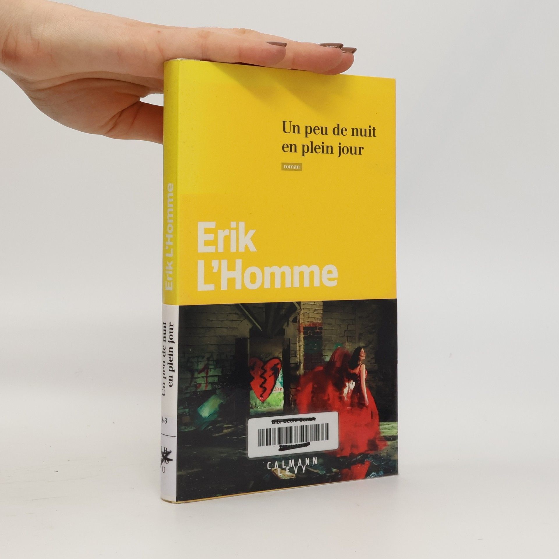 Erik L. Homme Un peu de nuit en plein jour