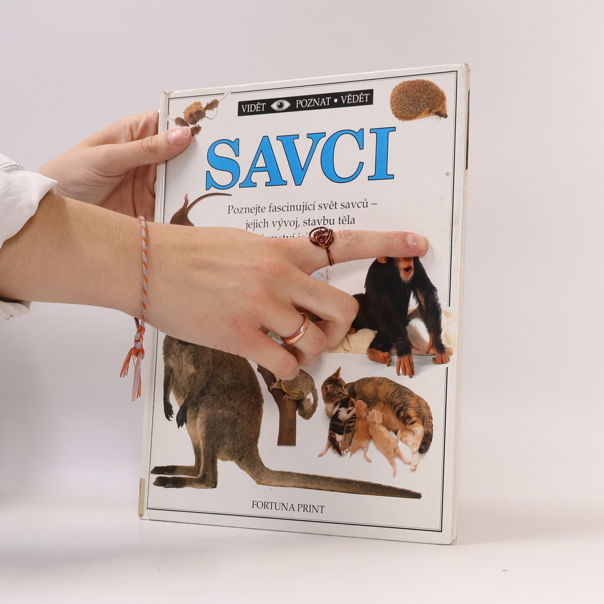 Steve Parker Savci