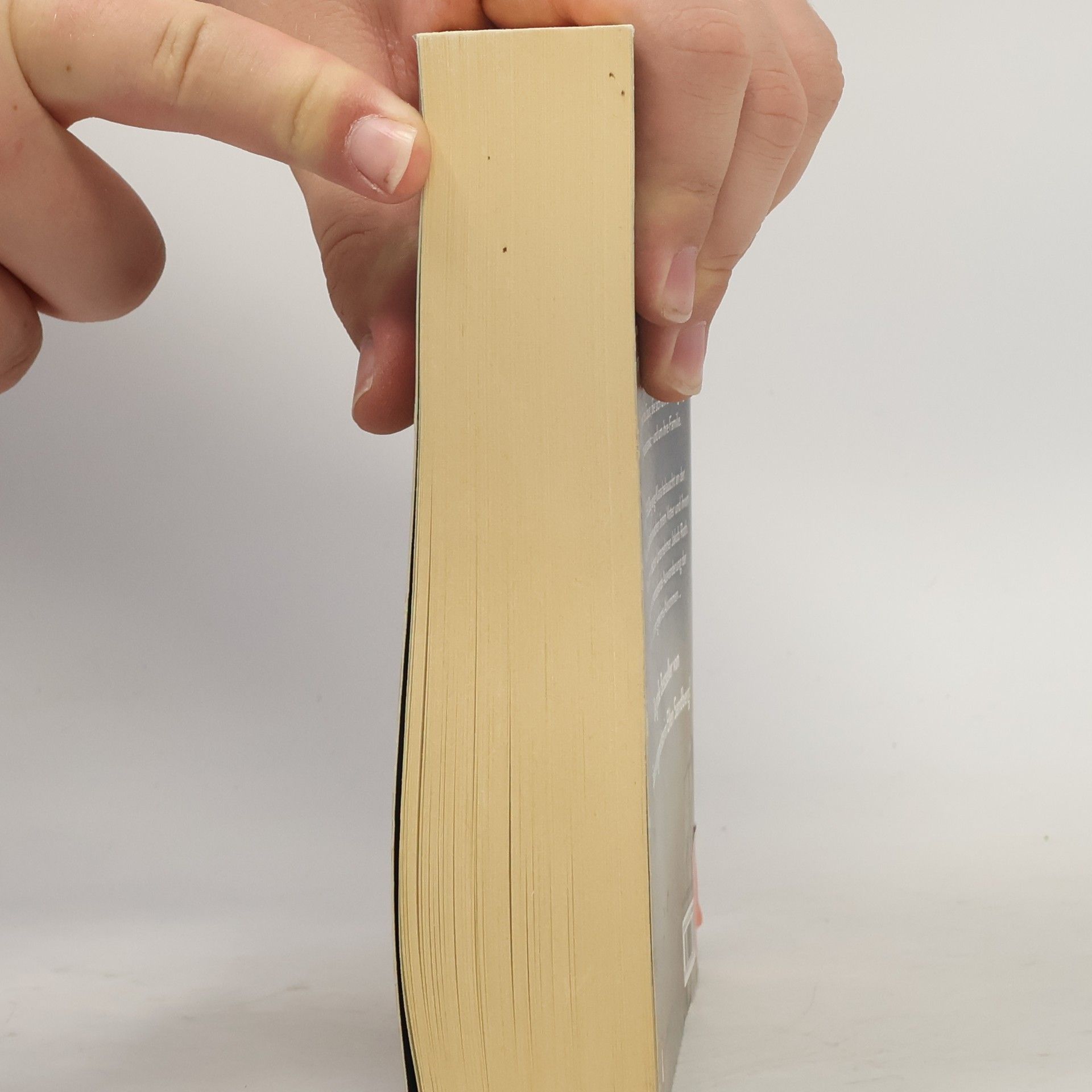 Ellen Sandberg Das Erbe