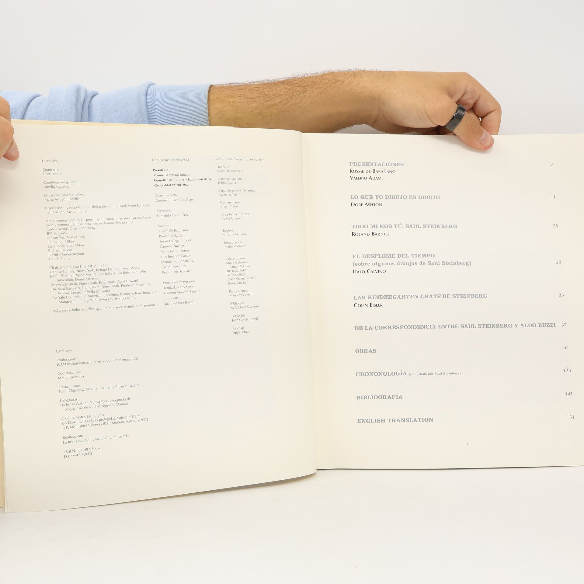 Autorenkollektiv Saul Steinberg