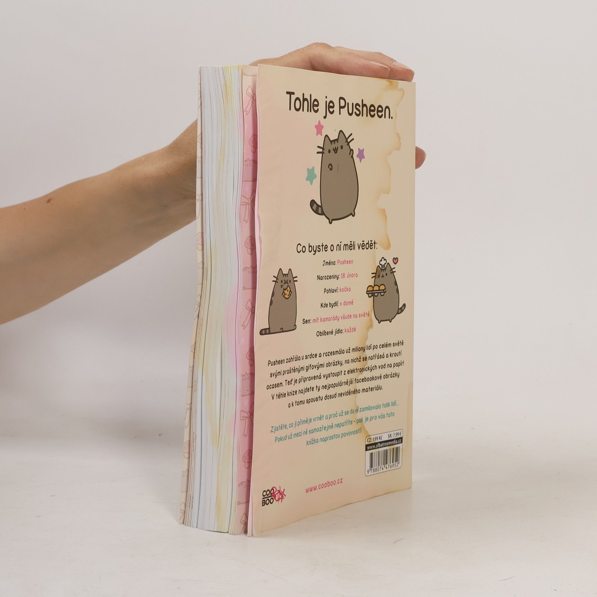 Claire Belton Pusheen. Já, košišta