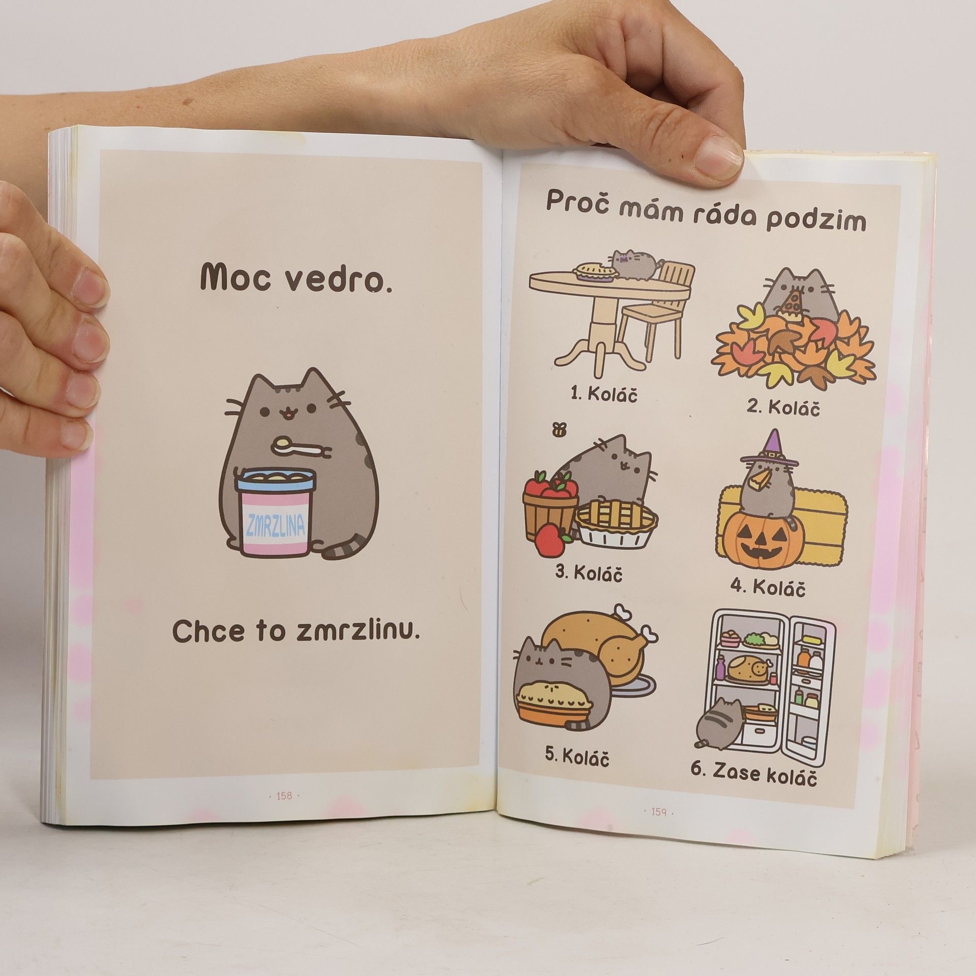 Claire Belton Pusheen. Já, košišta