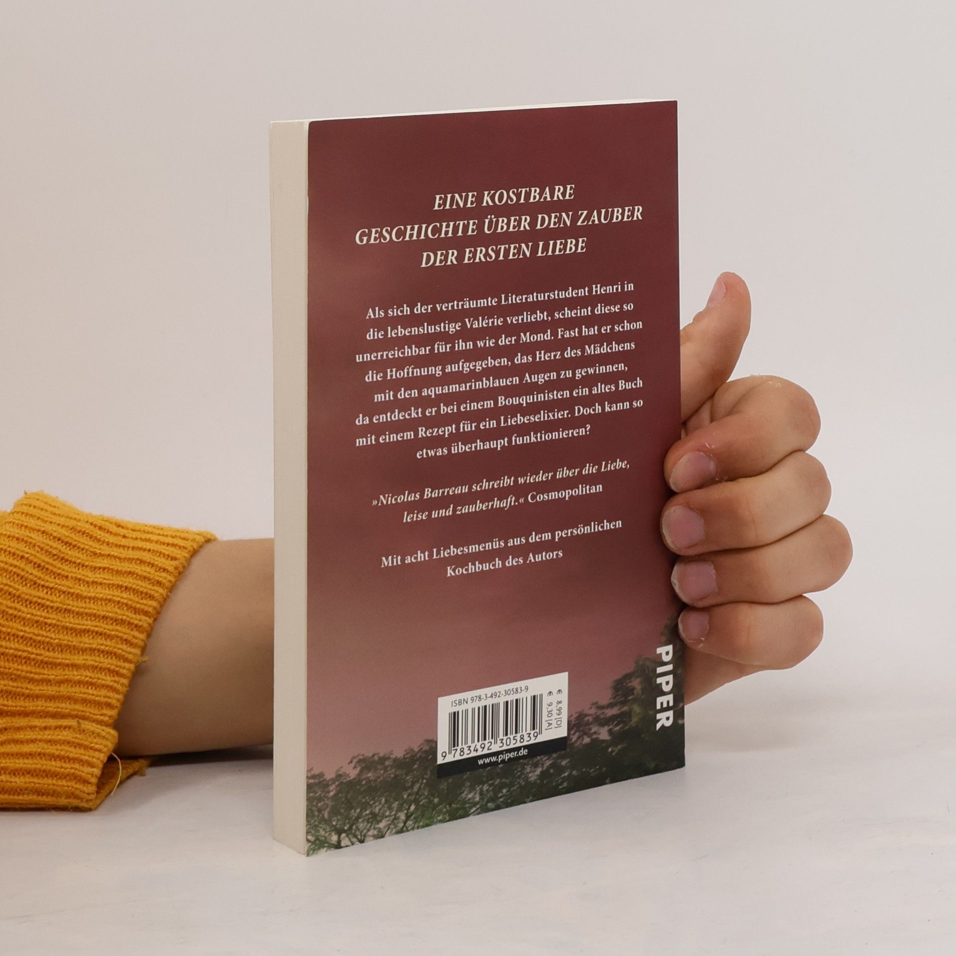 Nicolas Barreau Menu d'amour