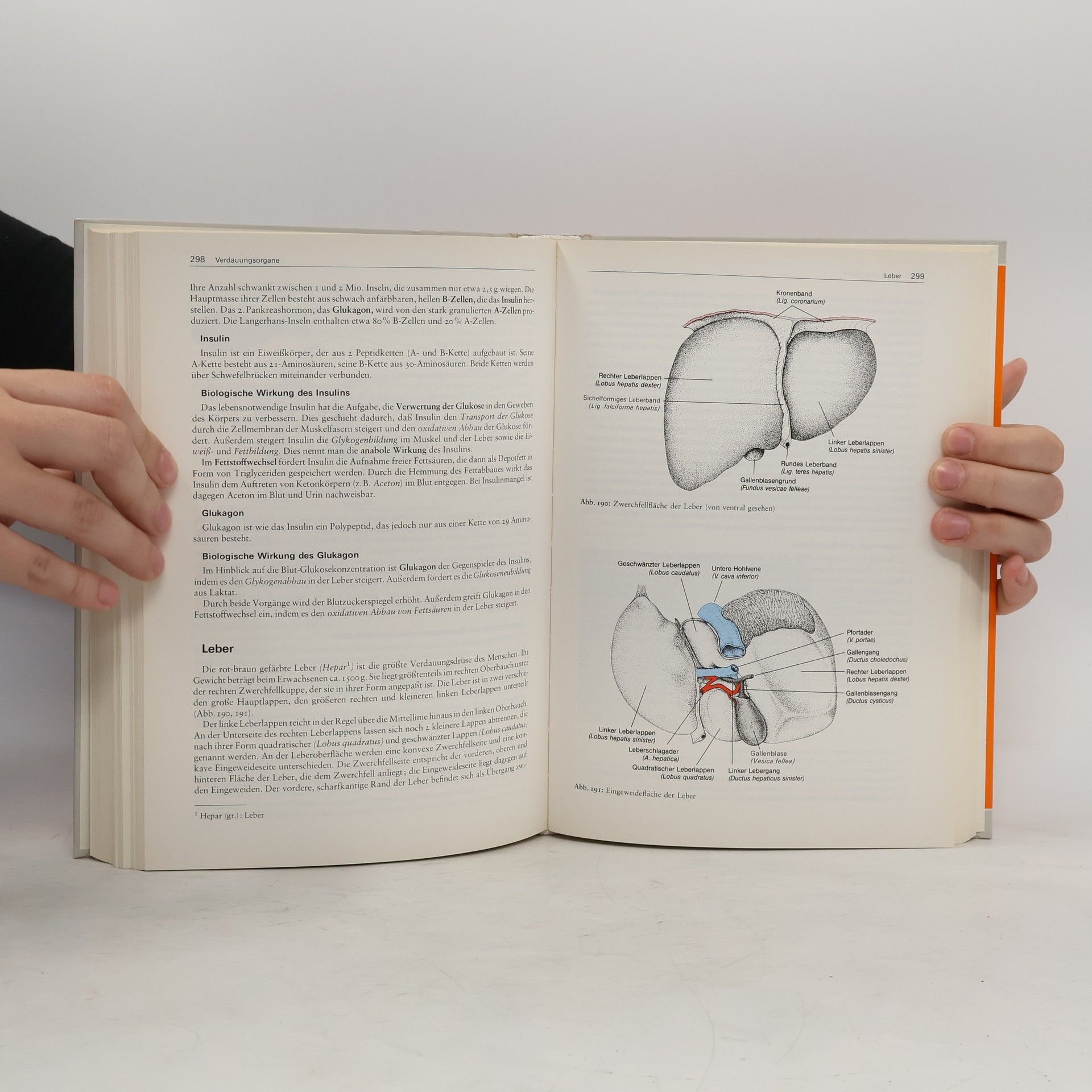 Hans Joachim von Brandis Anatomie und Physiologie für Krankenschwestern sowie andere medizinische und pharmazeutische Fachberufe