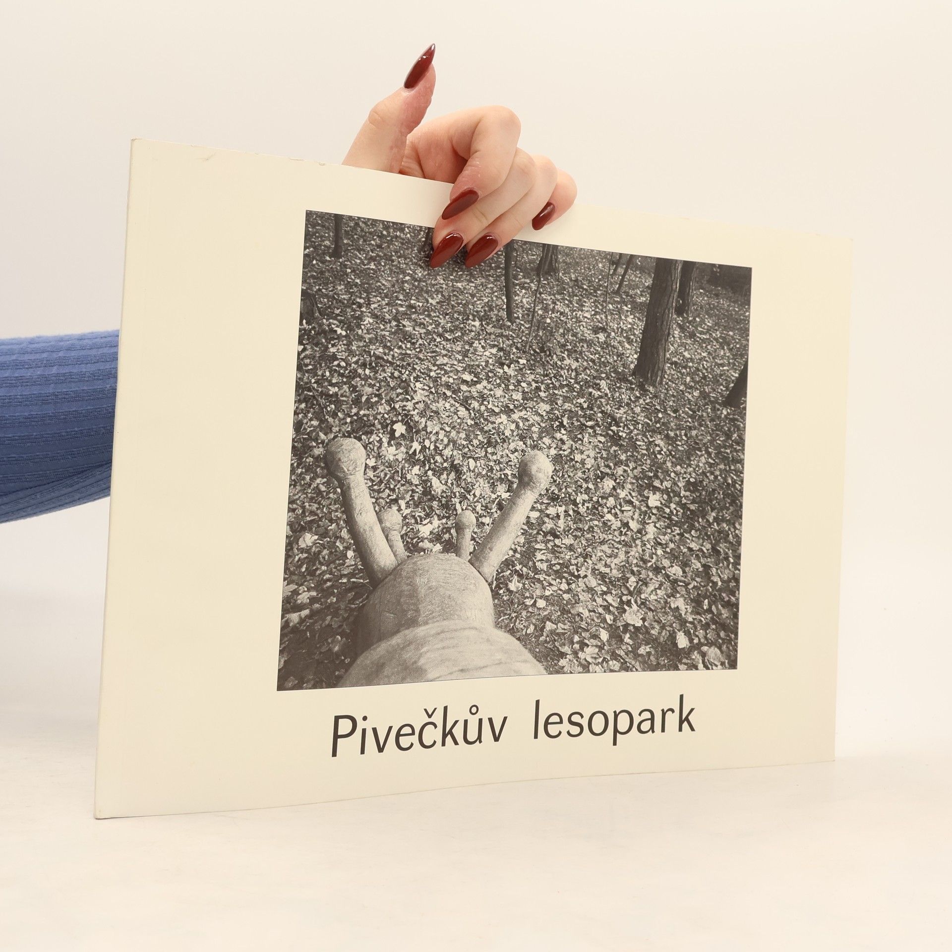 Veronika Zapletalová Pivečkův lesopark