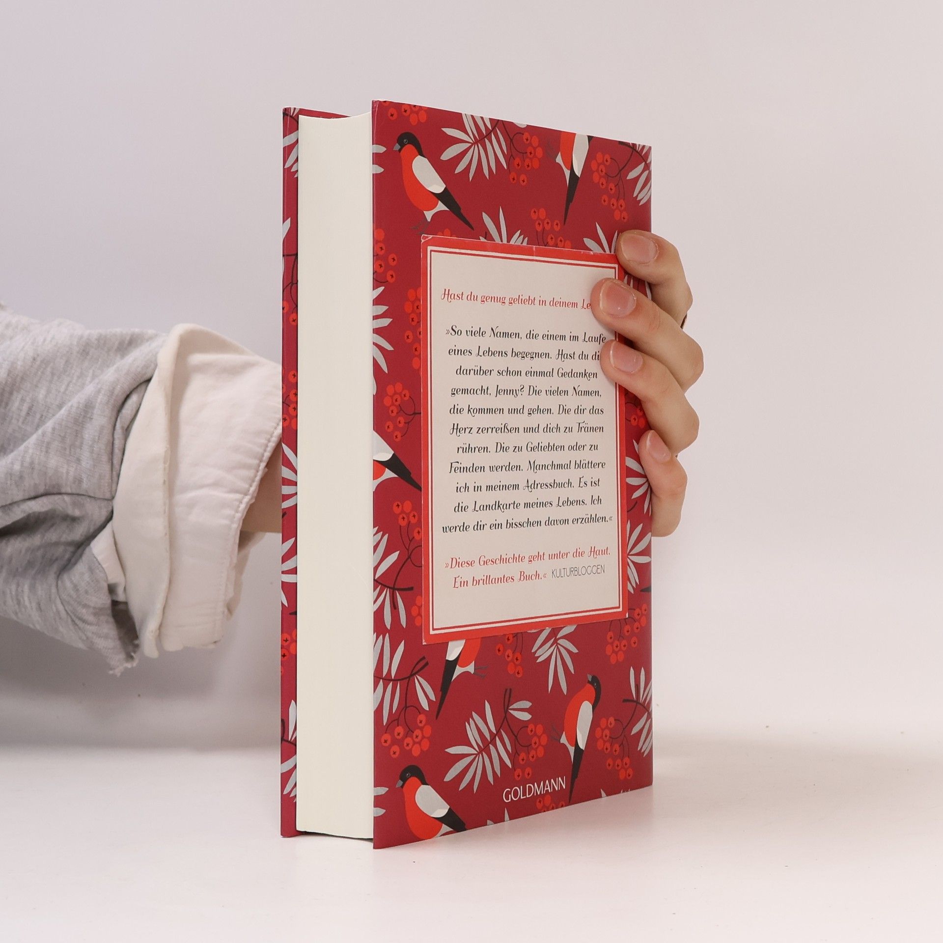 Sofia Lundberg Das rote Adressbuch
