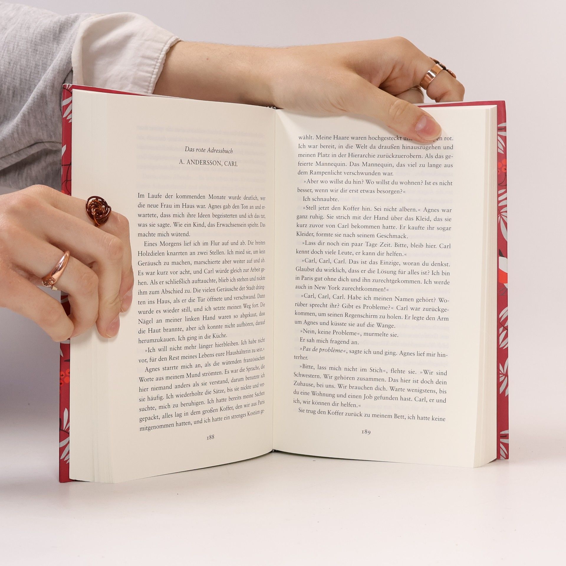 Sofia Lundberg Das rote Adressbuch