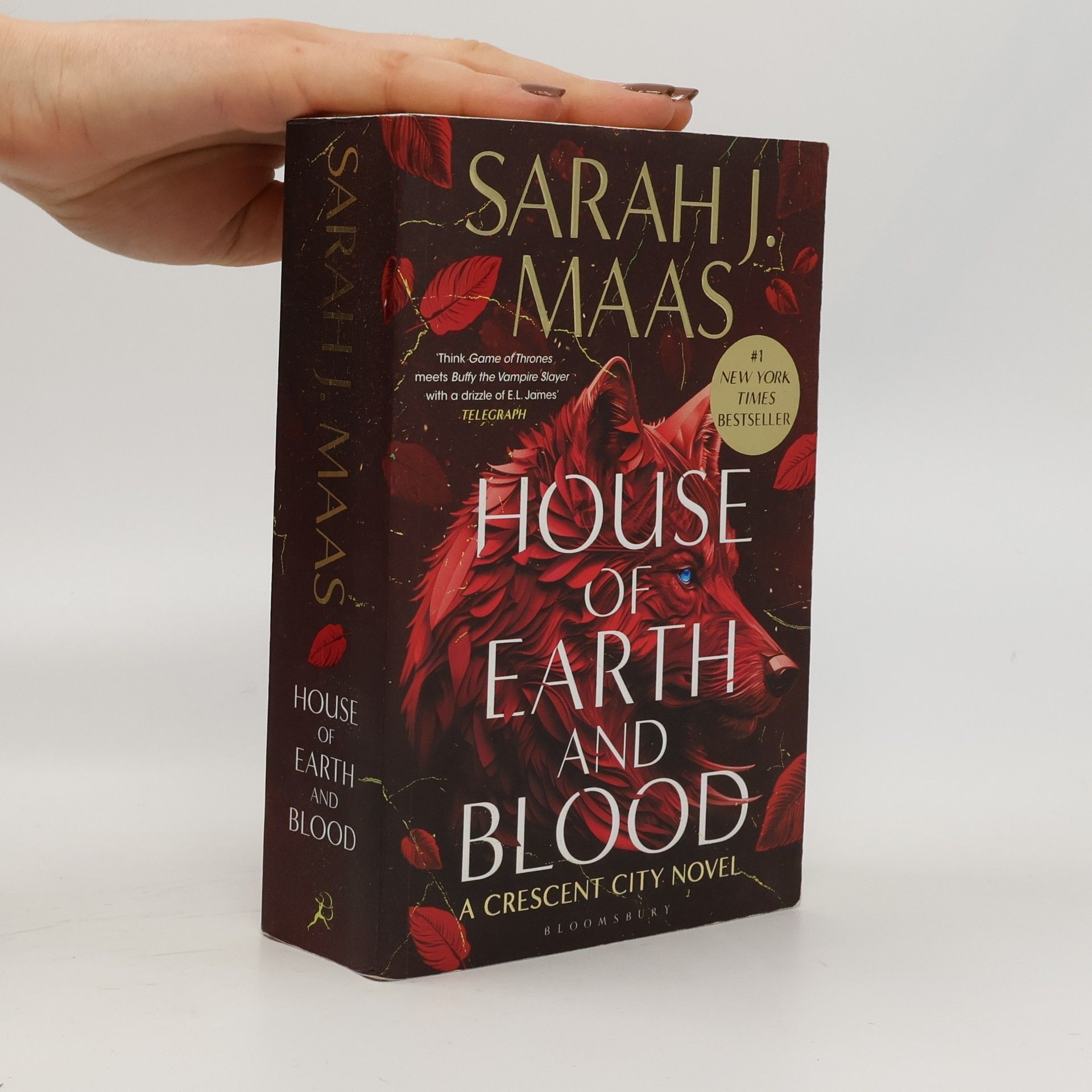 Sarah J. Maas House of Earth and Blood