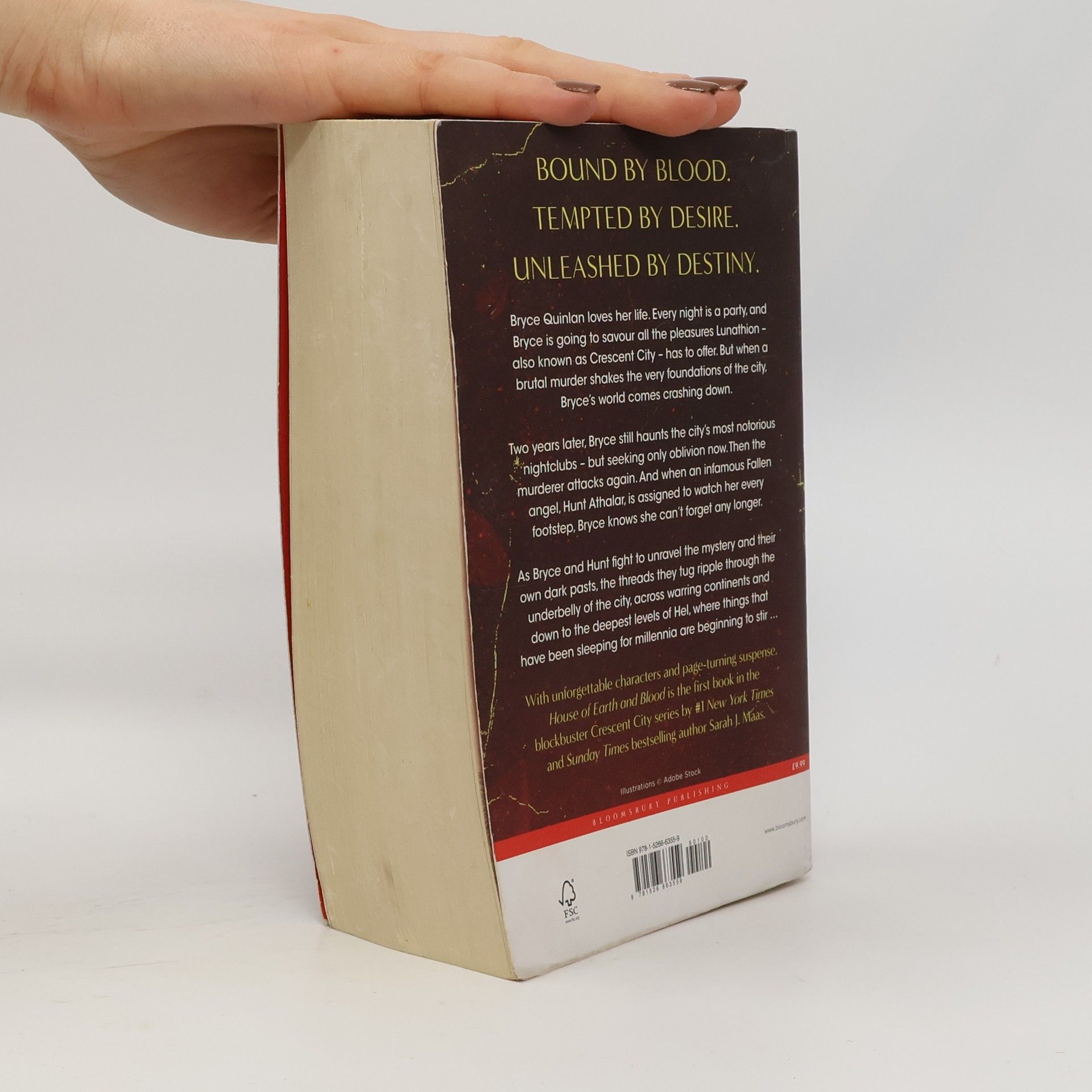 Sarah J. Maas House of Earth and Blood