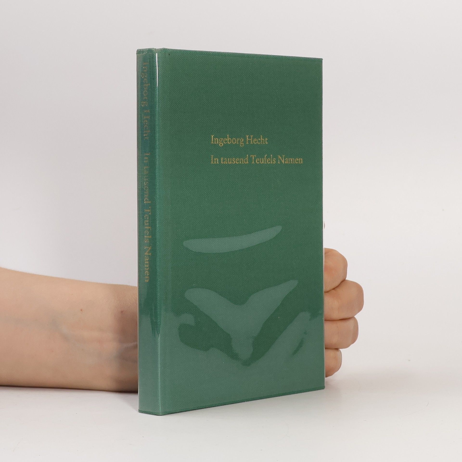 Ingeborg Hecht In tausend Teufels Namen