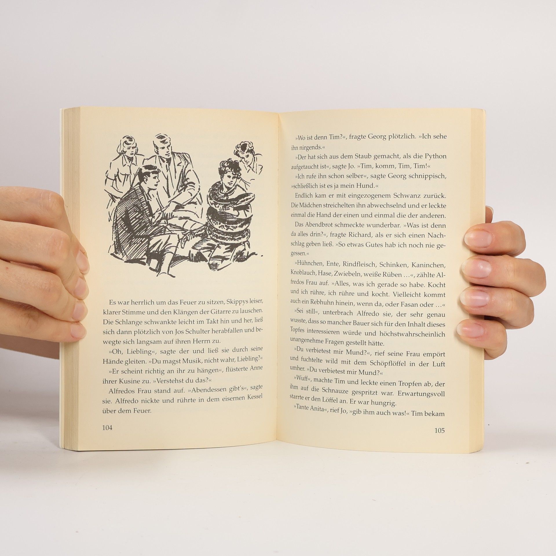 Enid Blyton Fünf Freunde und die wilde Jo