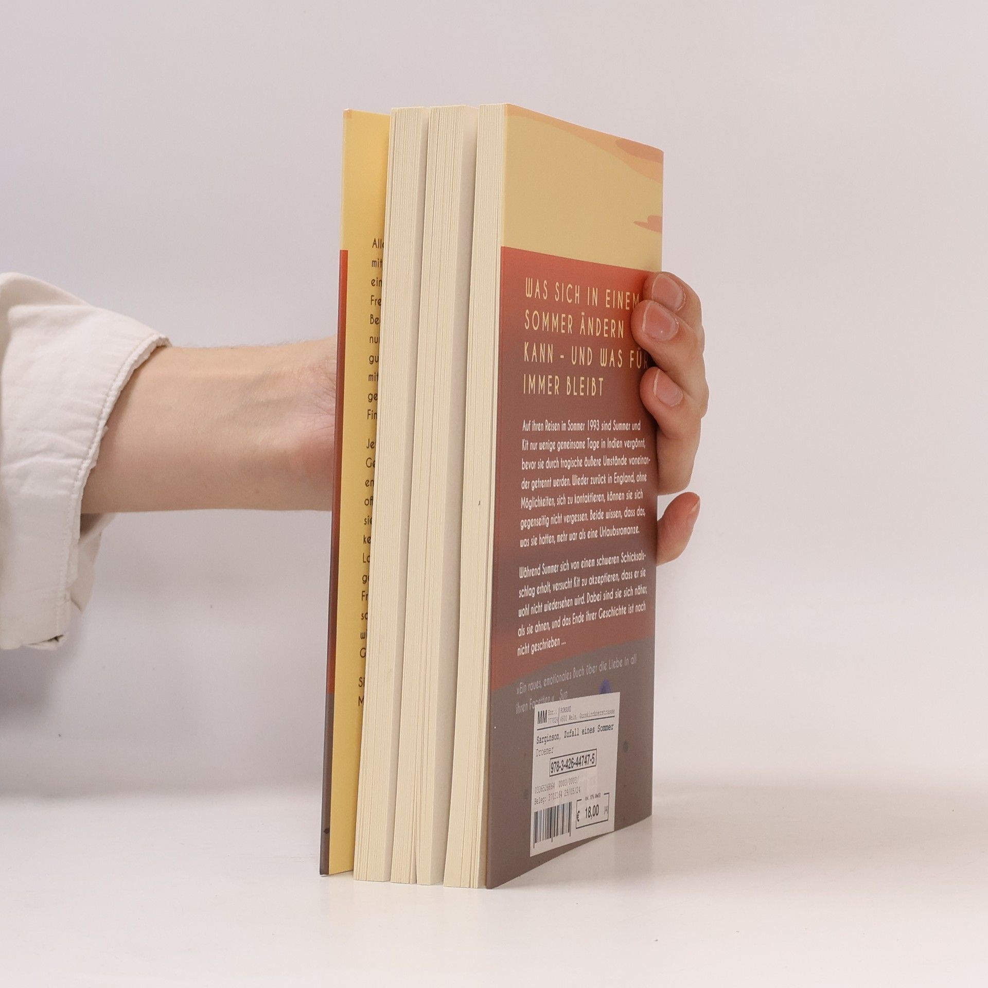 Saskia Sarginson Der Zufall eines Sommers