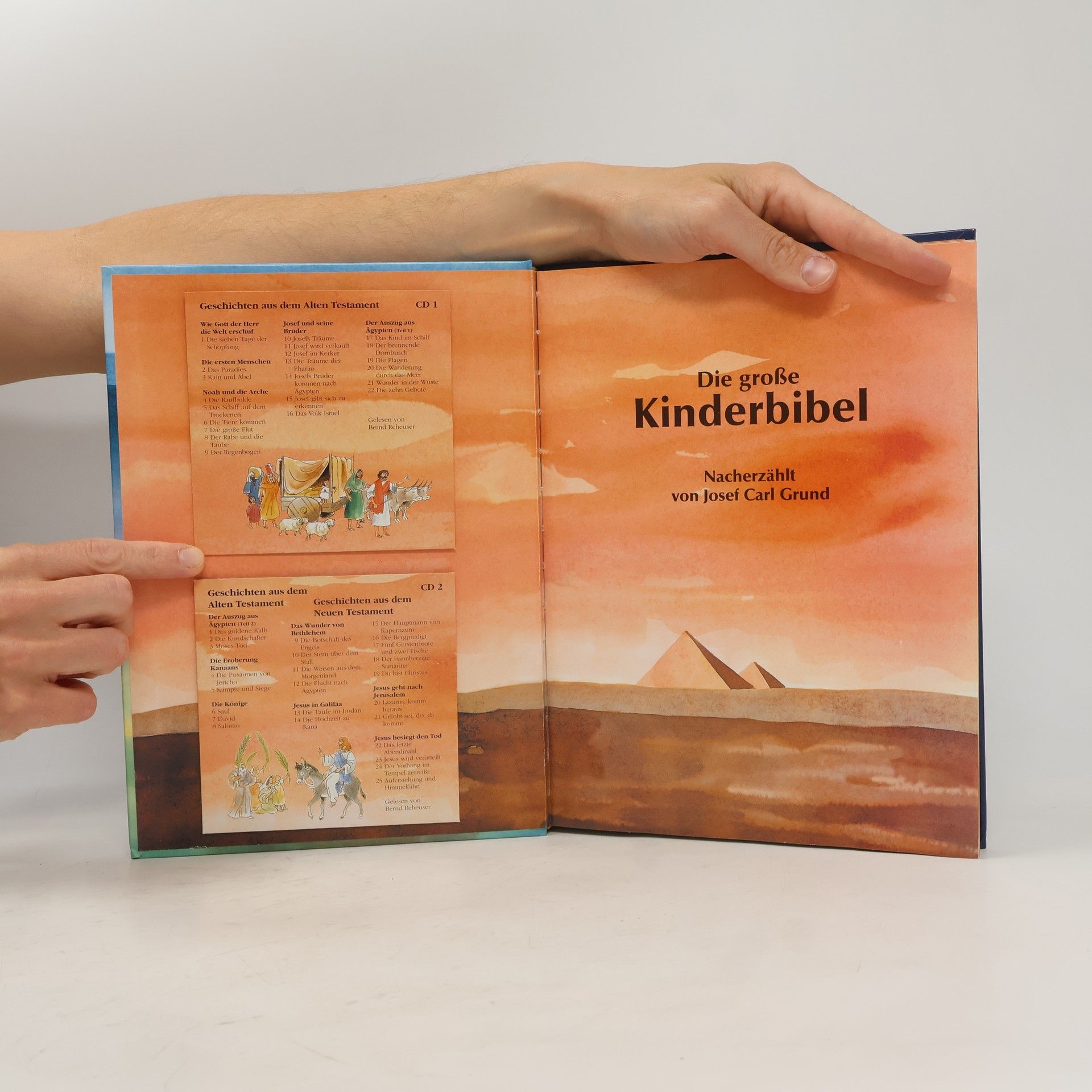 Various authors Die große Kinderbibel