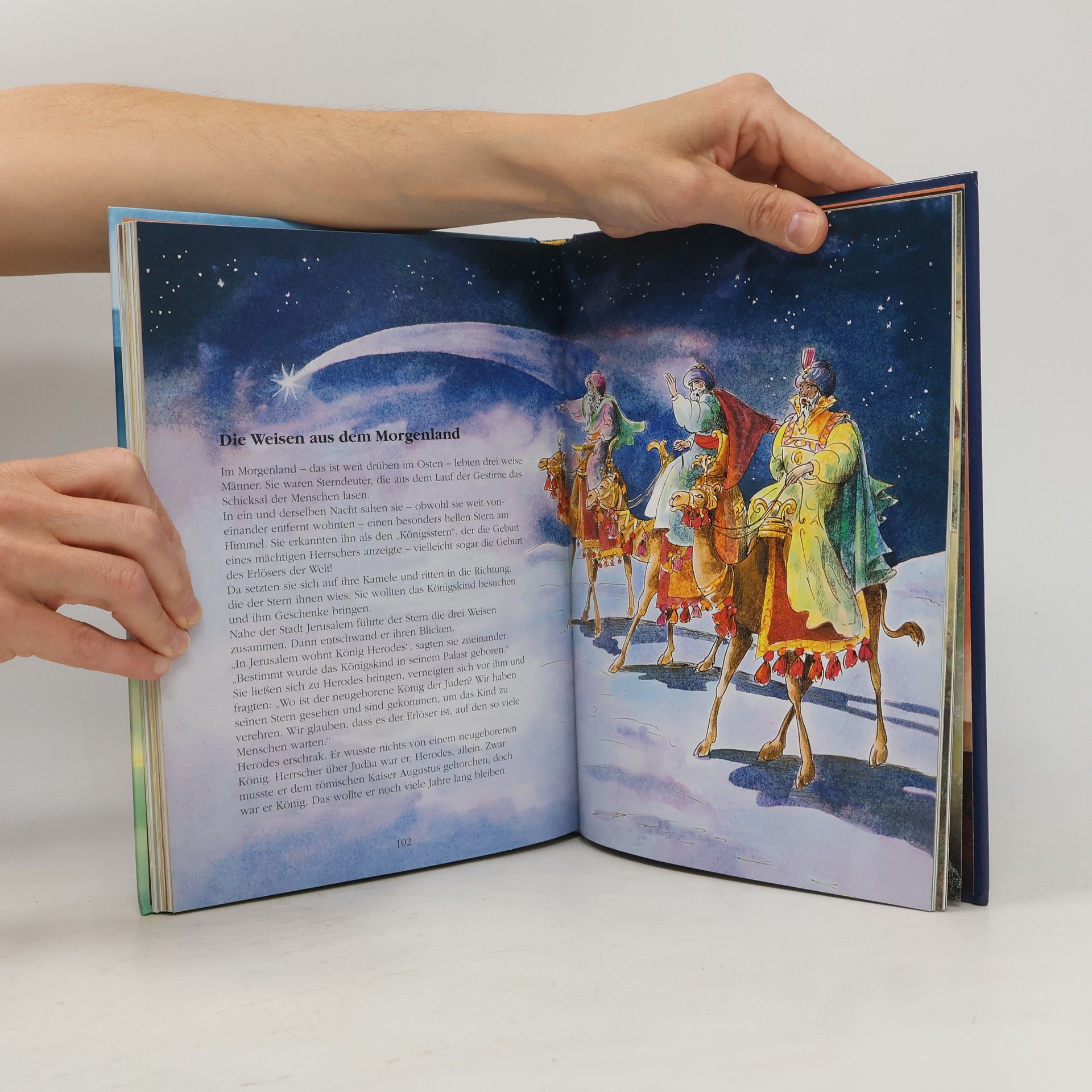 Various authors Die große Kinderbibel