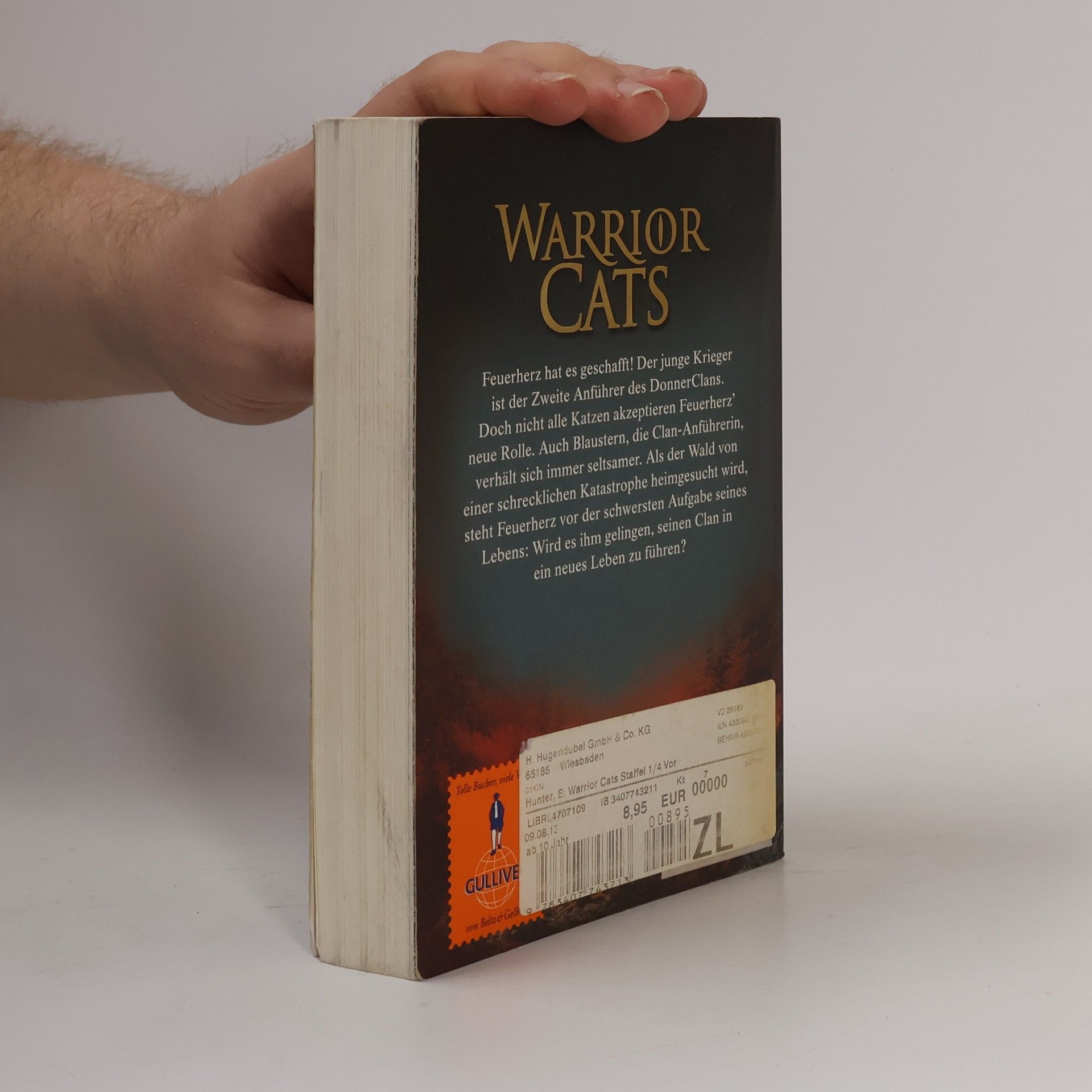 Erin Hunter Warrior Cats. Vor dem Sturm