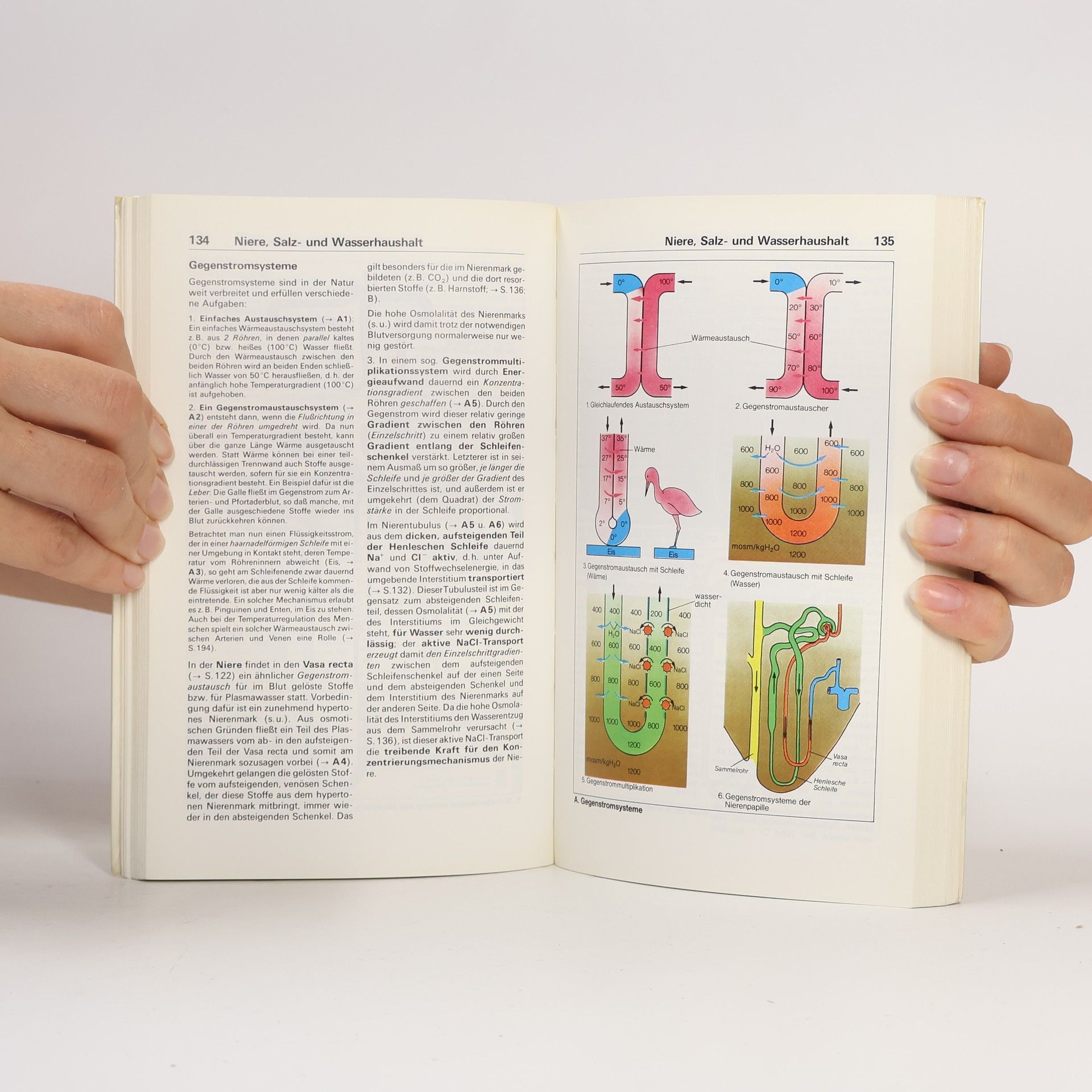 Stefan Silbernagl Taschenatlas der Physiologie