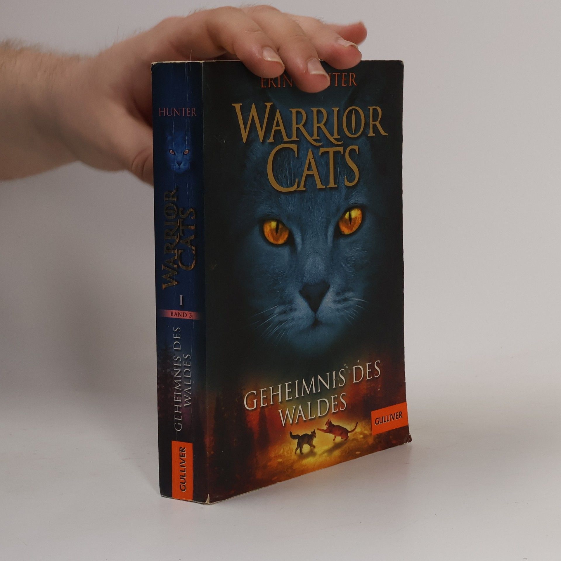 Erin Hunter Warrior Cats. Geheimnis des Waldes