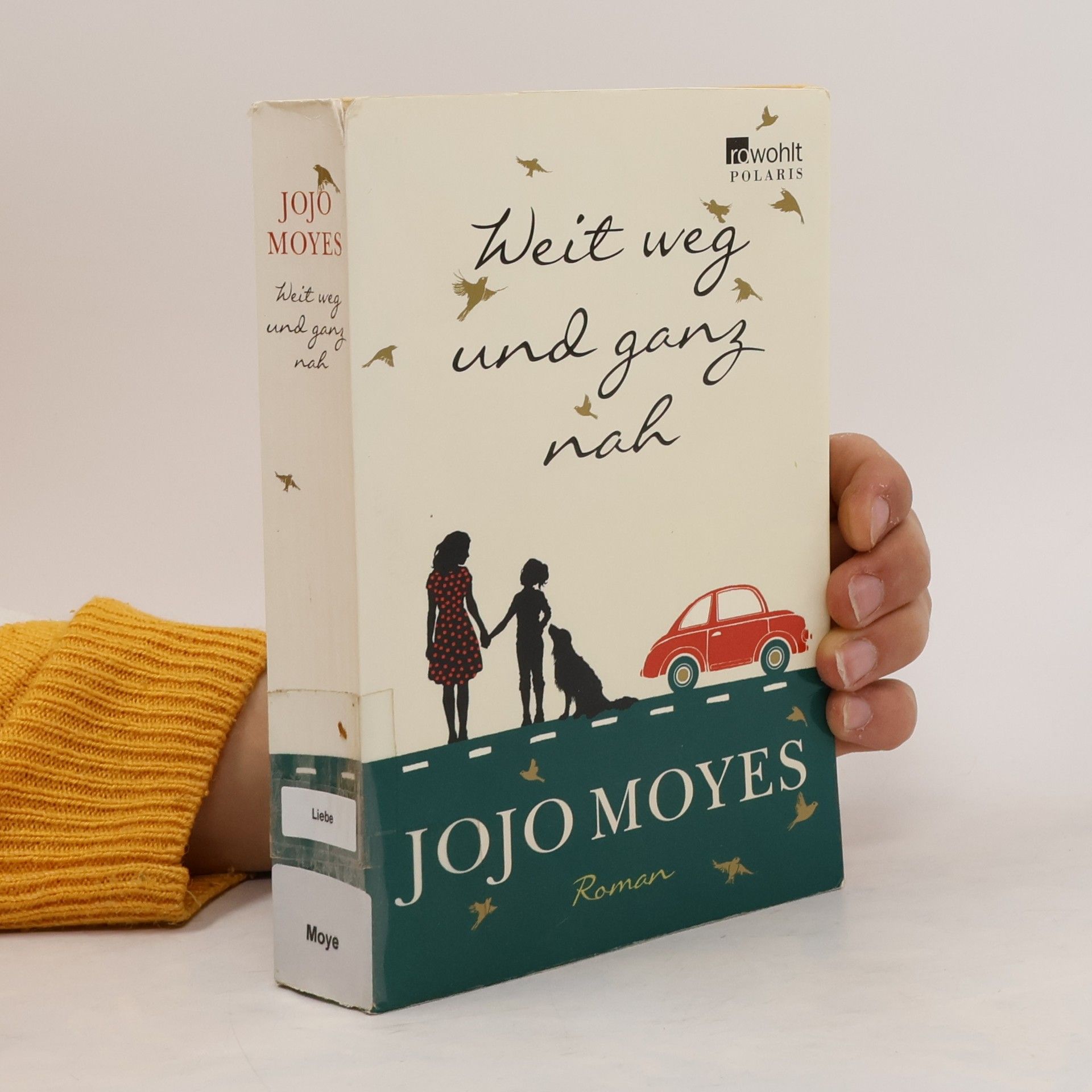 Jojo Moyes Weit weg und ganz nah