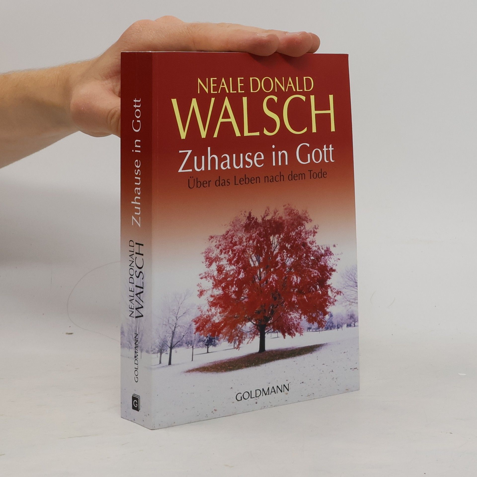 Neale Donald Walsch Zuhause in Gott