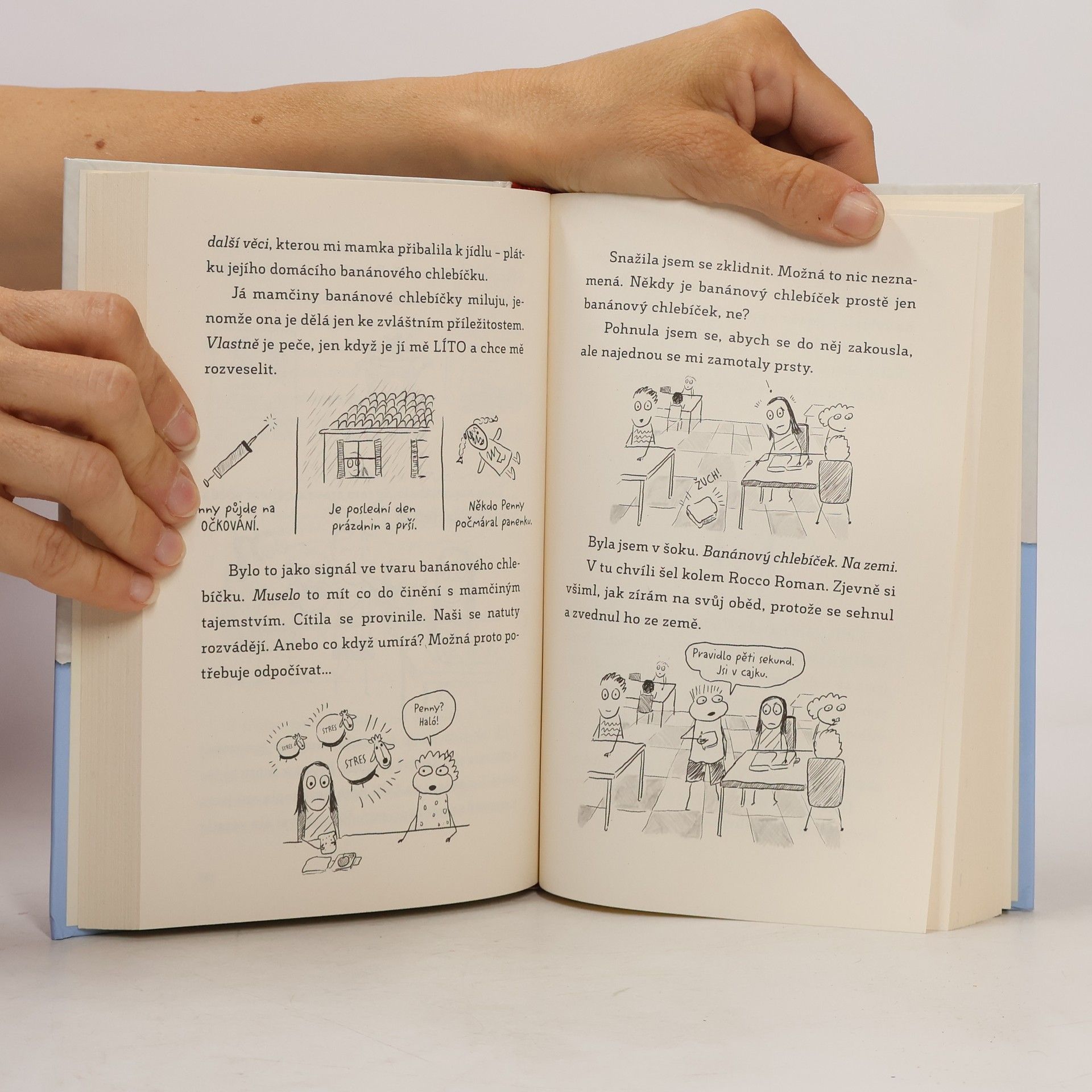 Sara Shepard Deník jedné páťačky